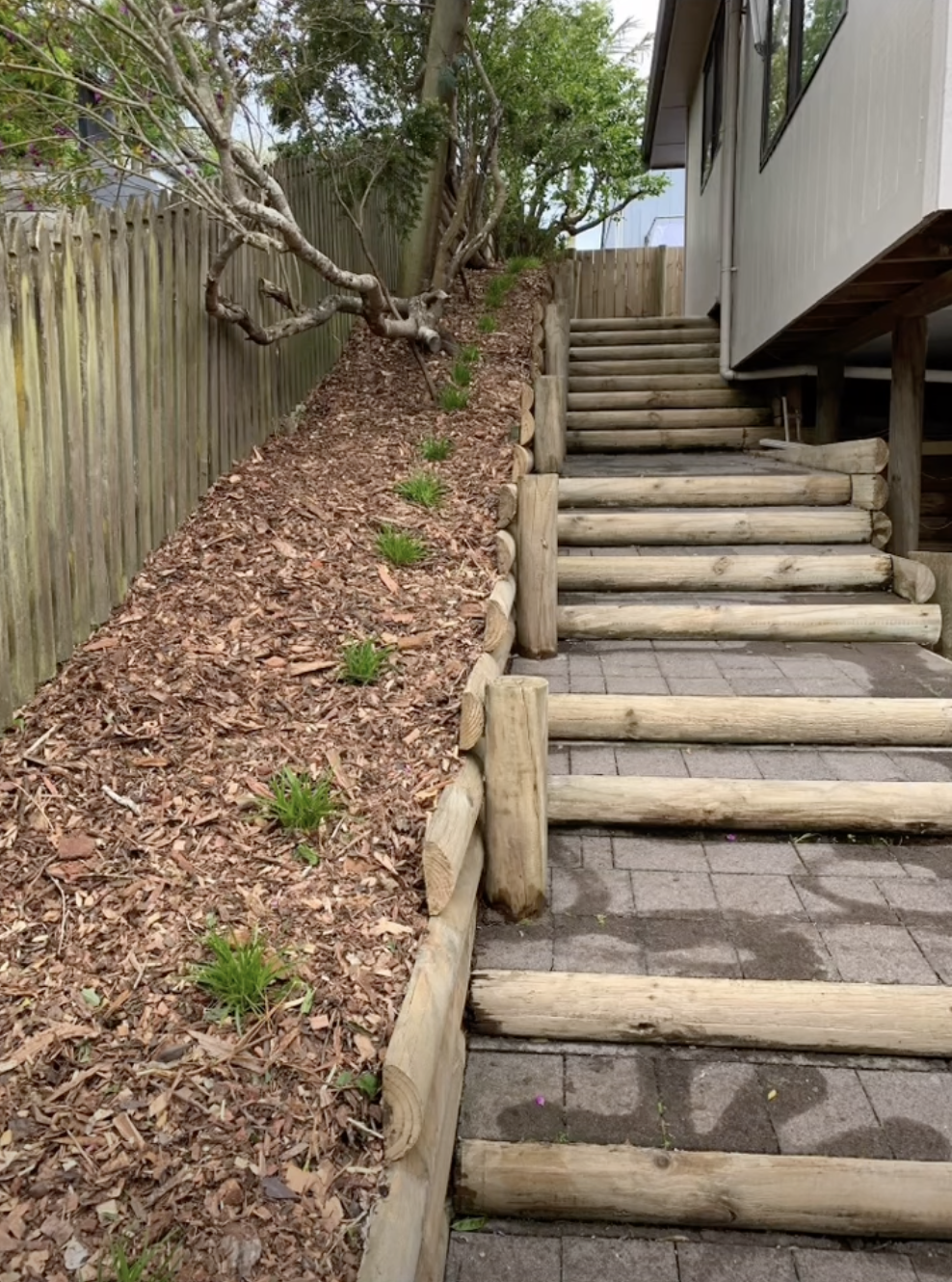 Waterblasting of back steps and pathway