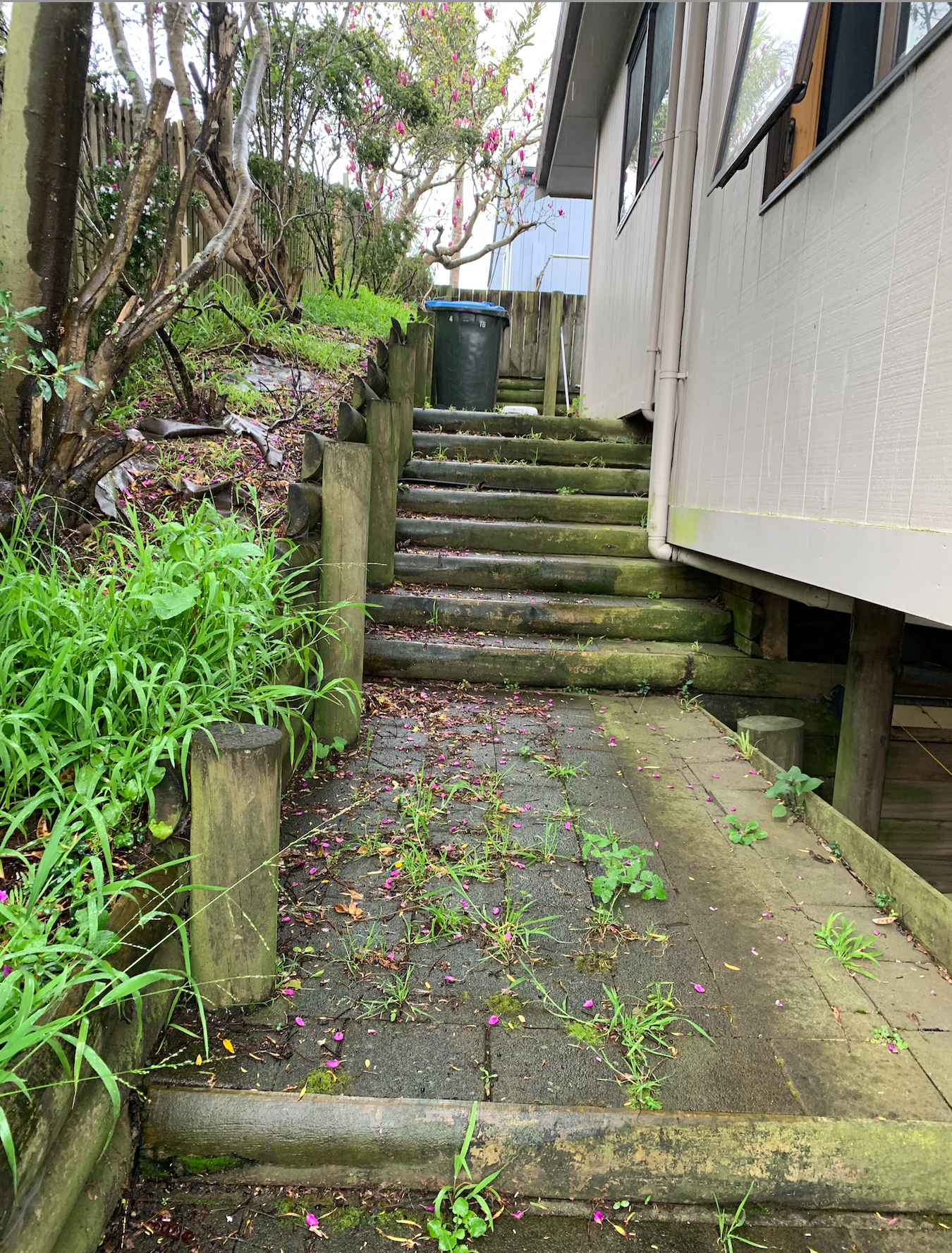 Untidy backyard and garden with wooden stairs leading up to house