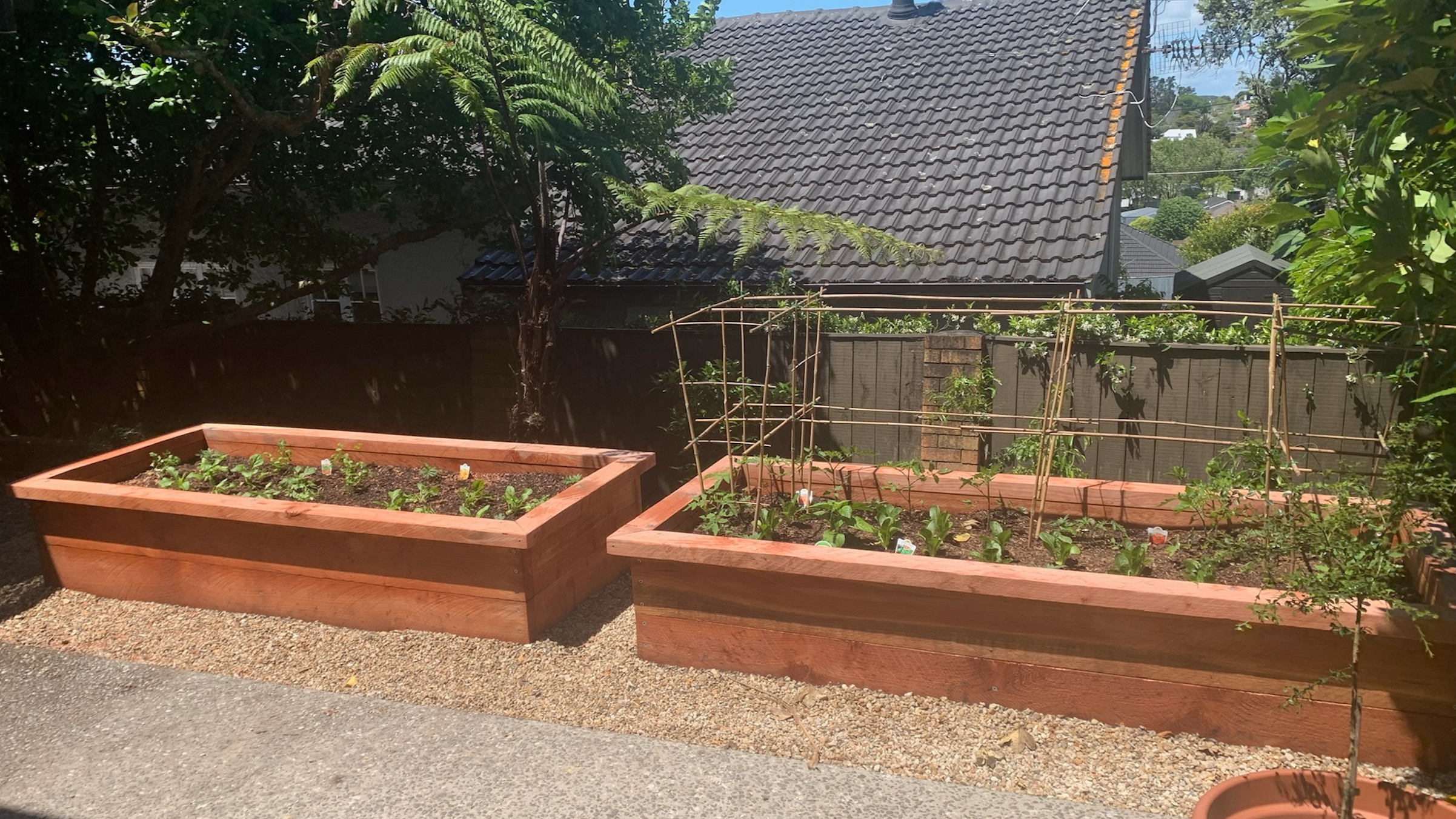 Sloped unused area to raised veggie boxes with year round access