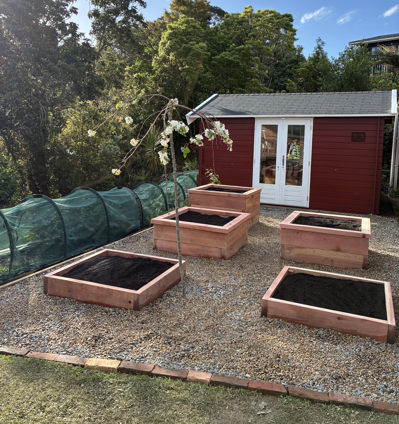 Bare lawn to gardeners utopia