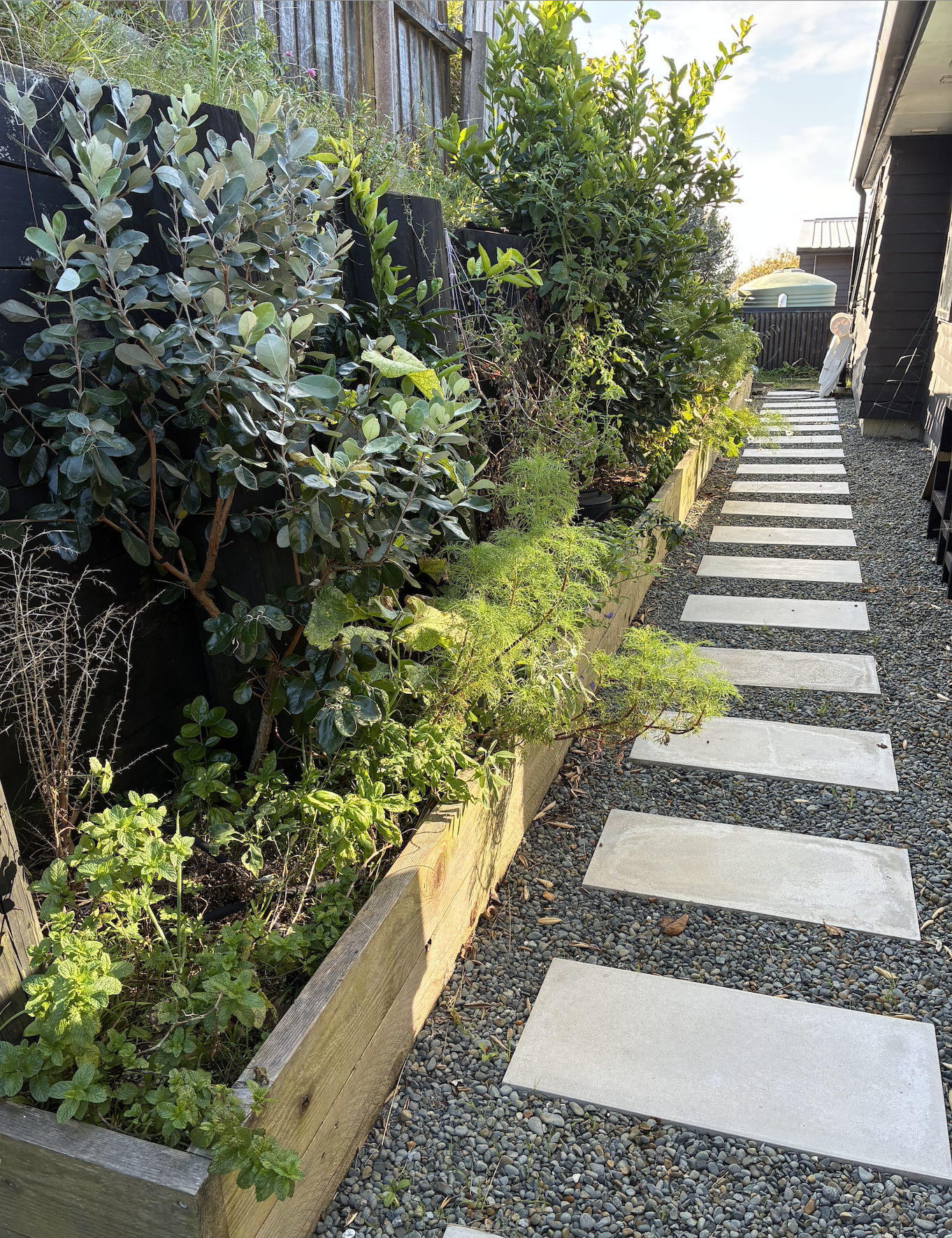 Narrow unused back yard to productive raised veggie gardens