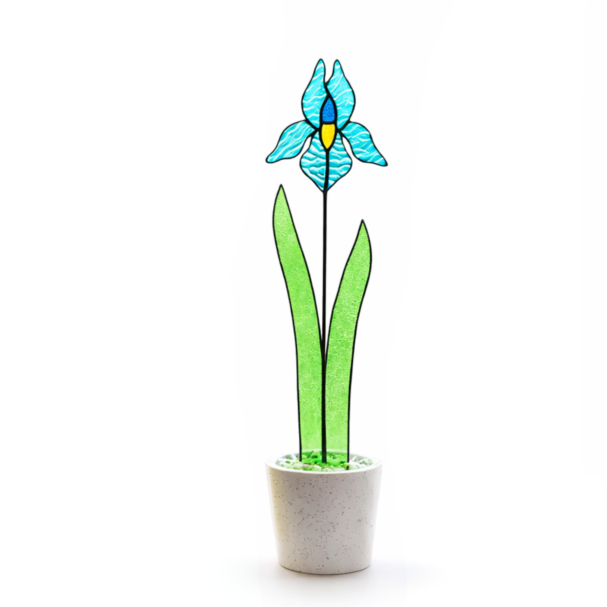 Blue Iris stained glass plant