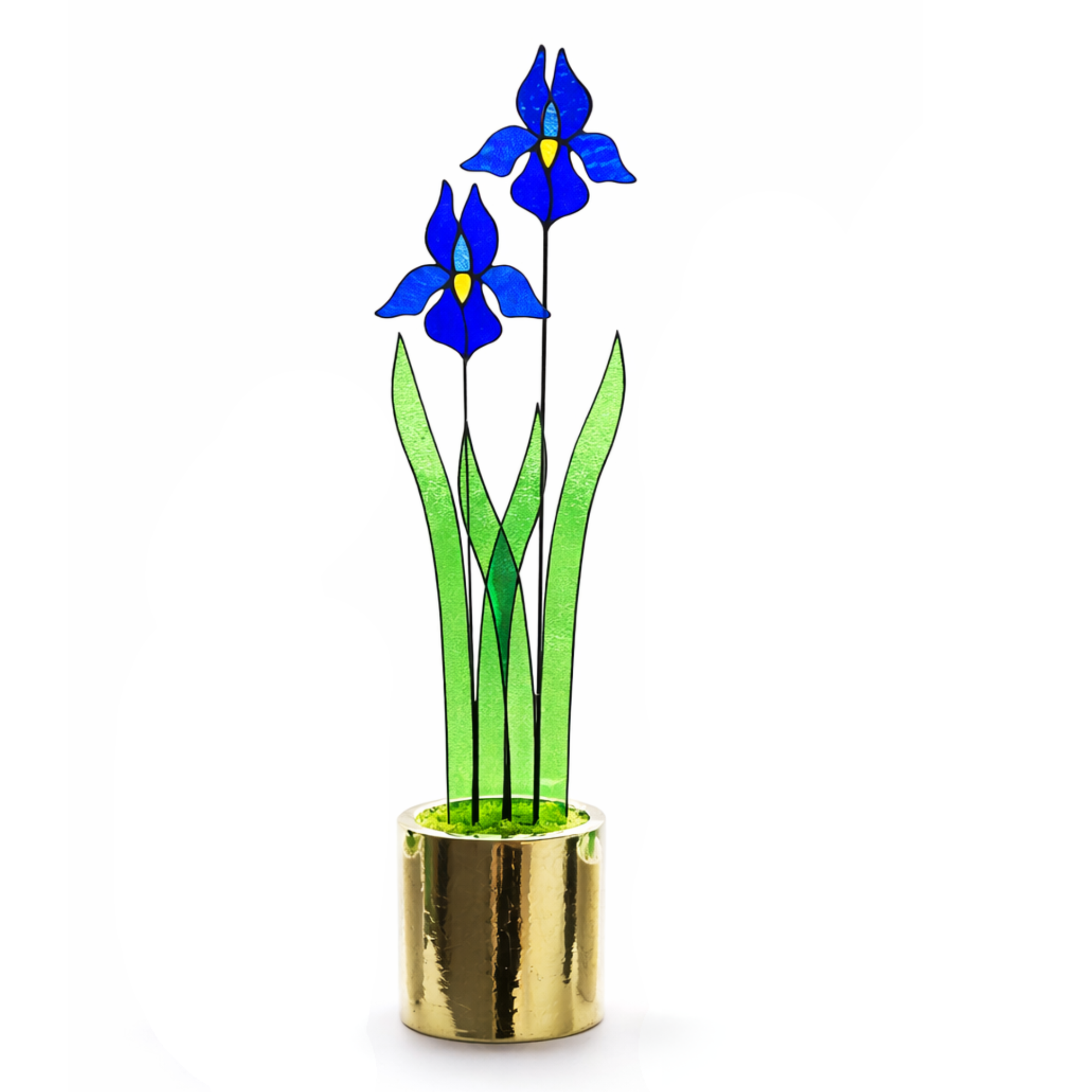 Untitled design - 2026-05-31T125942.636.png