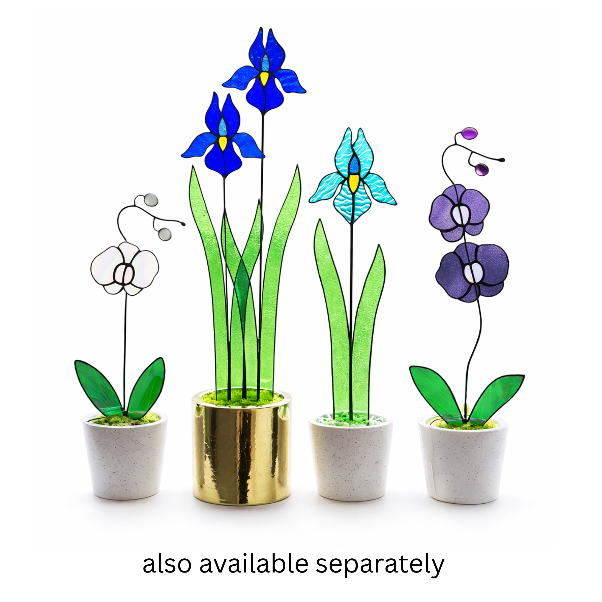 also available.png