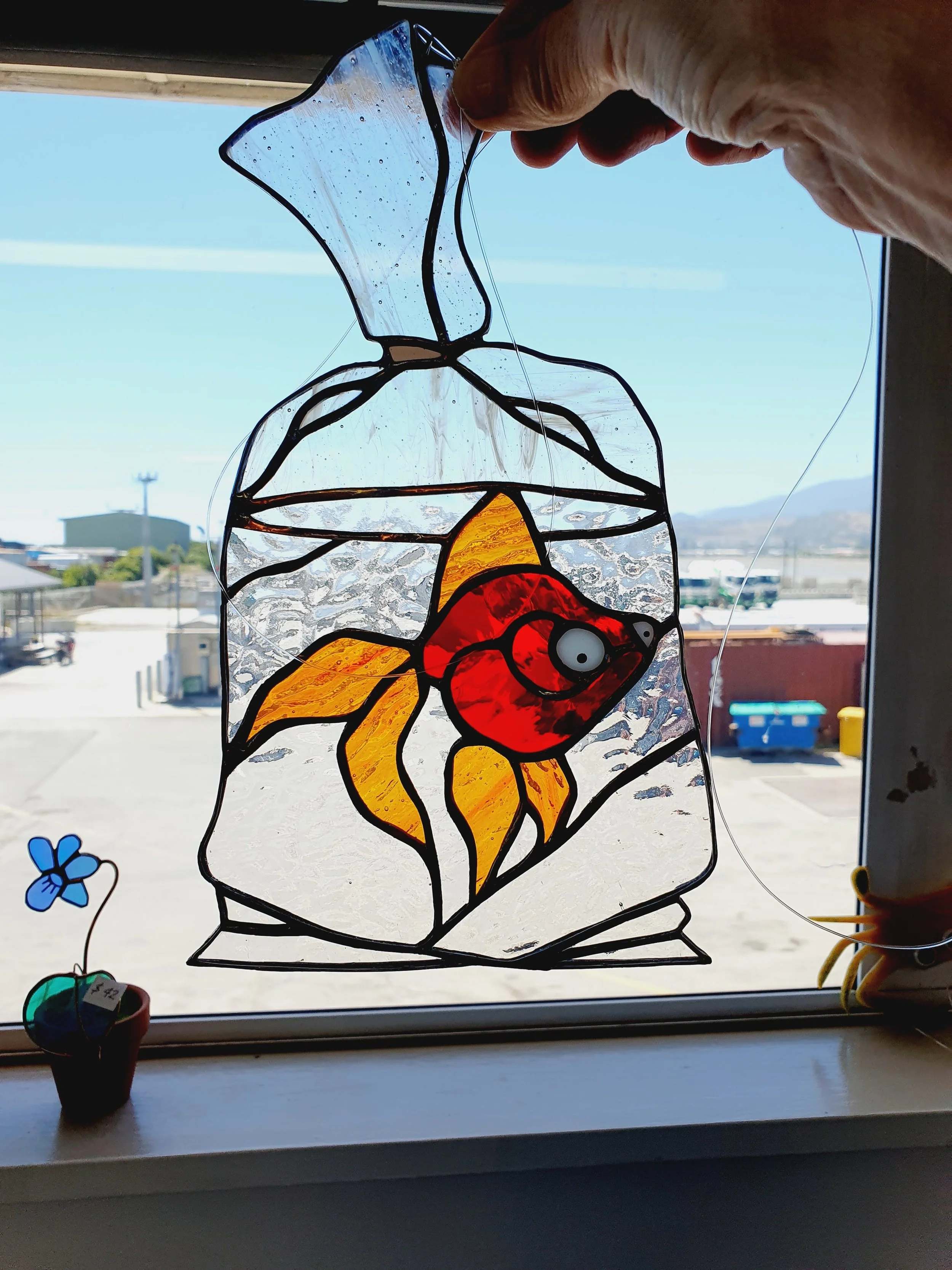Goldfish in a Bag