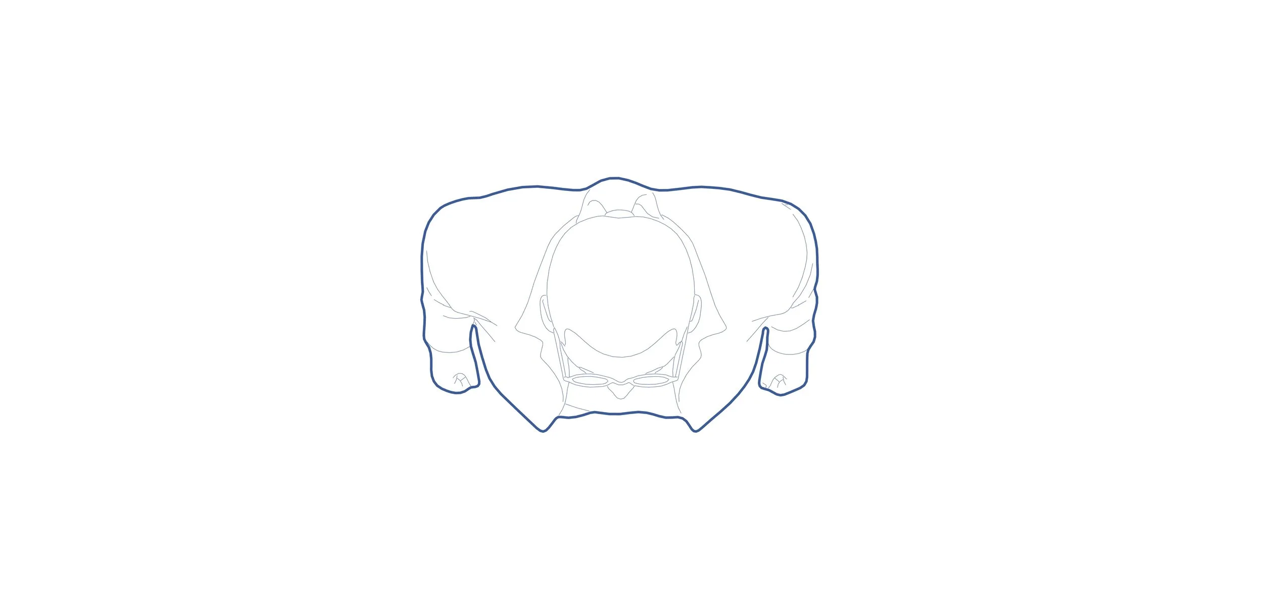 STANDING_MAN _02 PLAN.jpg