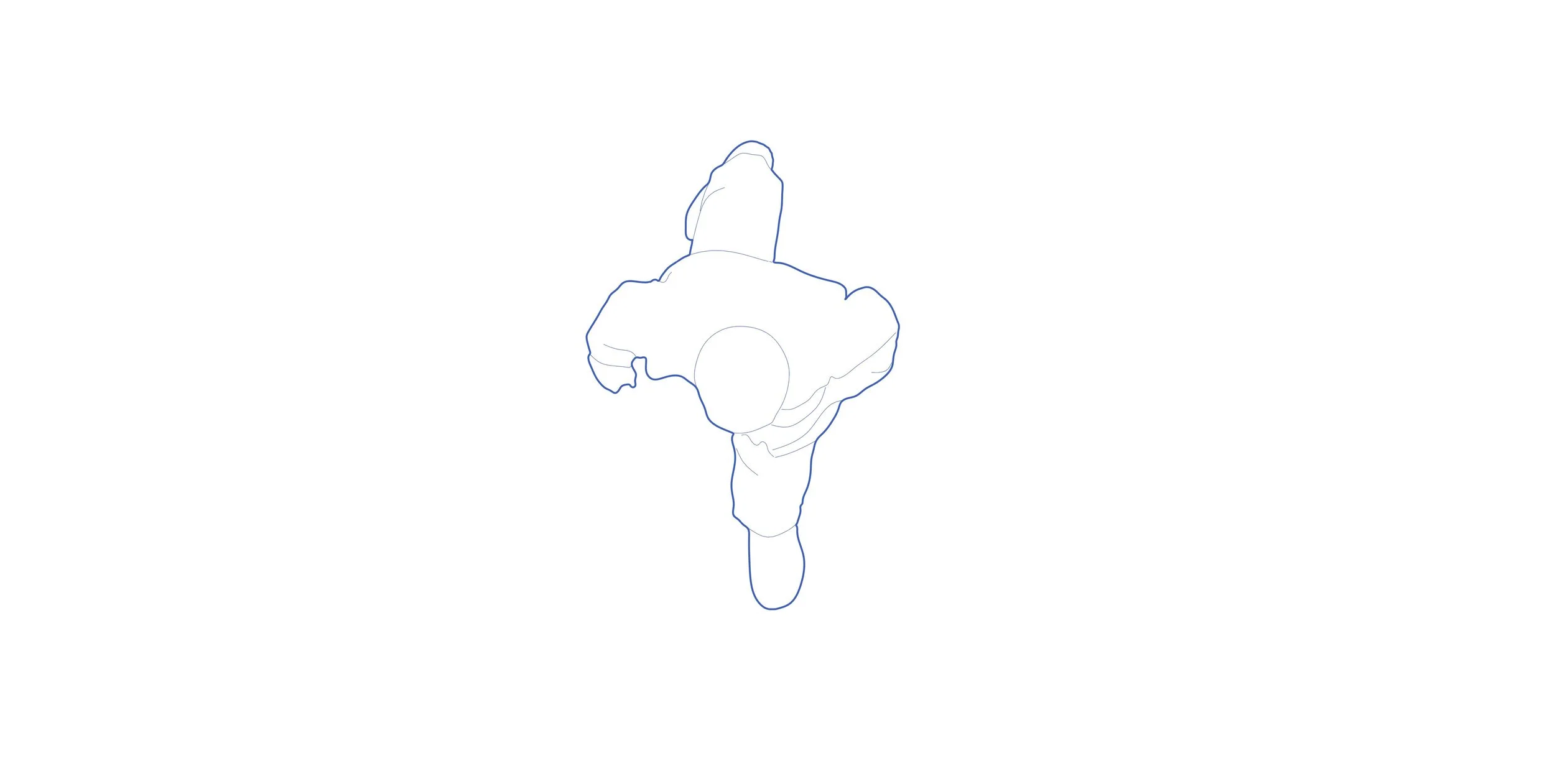 Walking_Man_01 PLAN.jpg