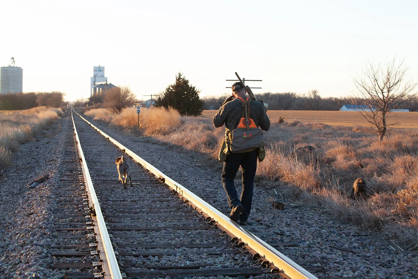 A man walking along a railway track, with a dog walking ahead on the track, during sunset in a rural area with fields and trees.