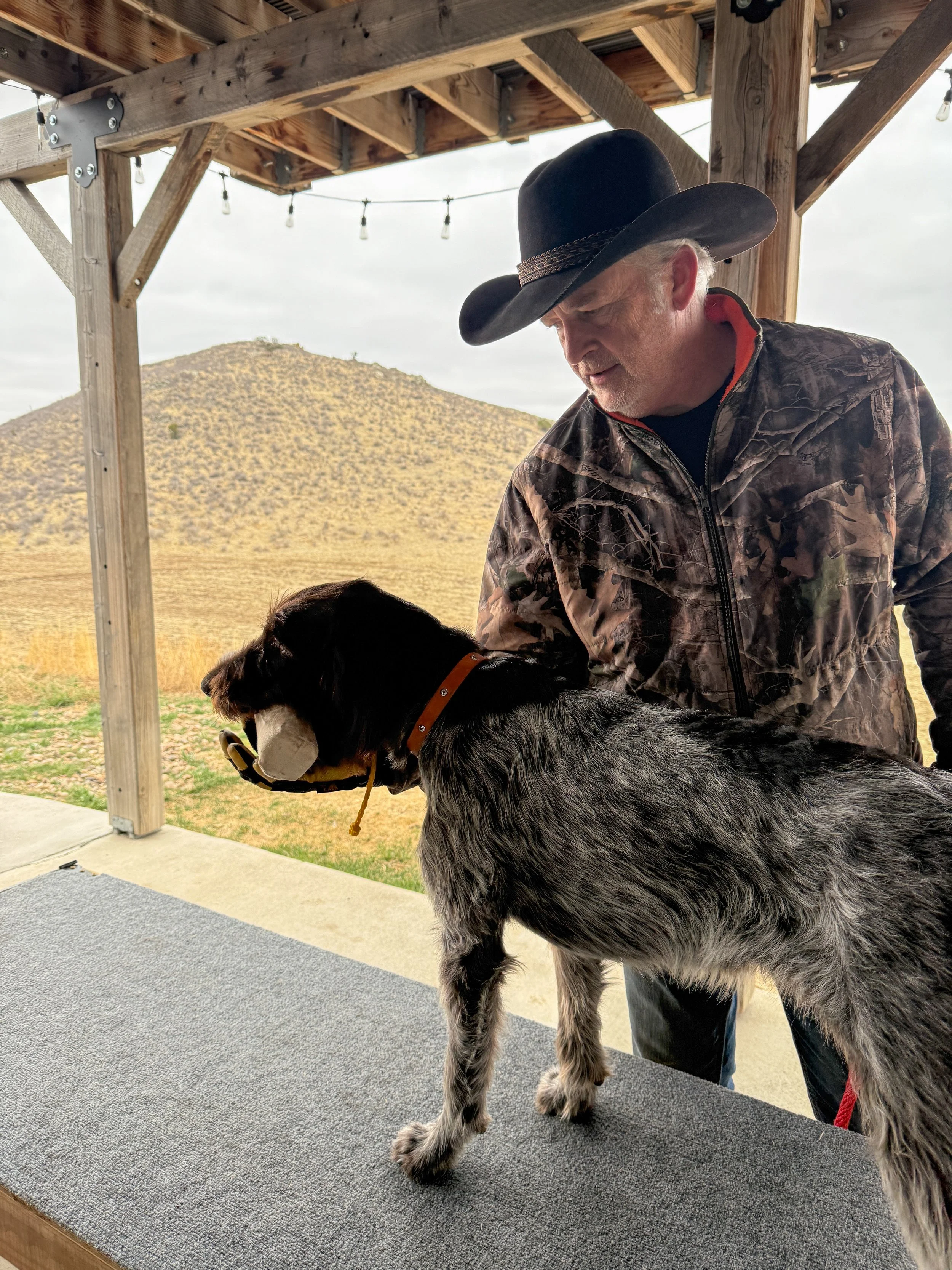 A man wearing a cowboy hat and camouflage jacket examines a dog with a tennis ball in its mouth, standing on a table in an outdoor setting with a mountainous background.