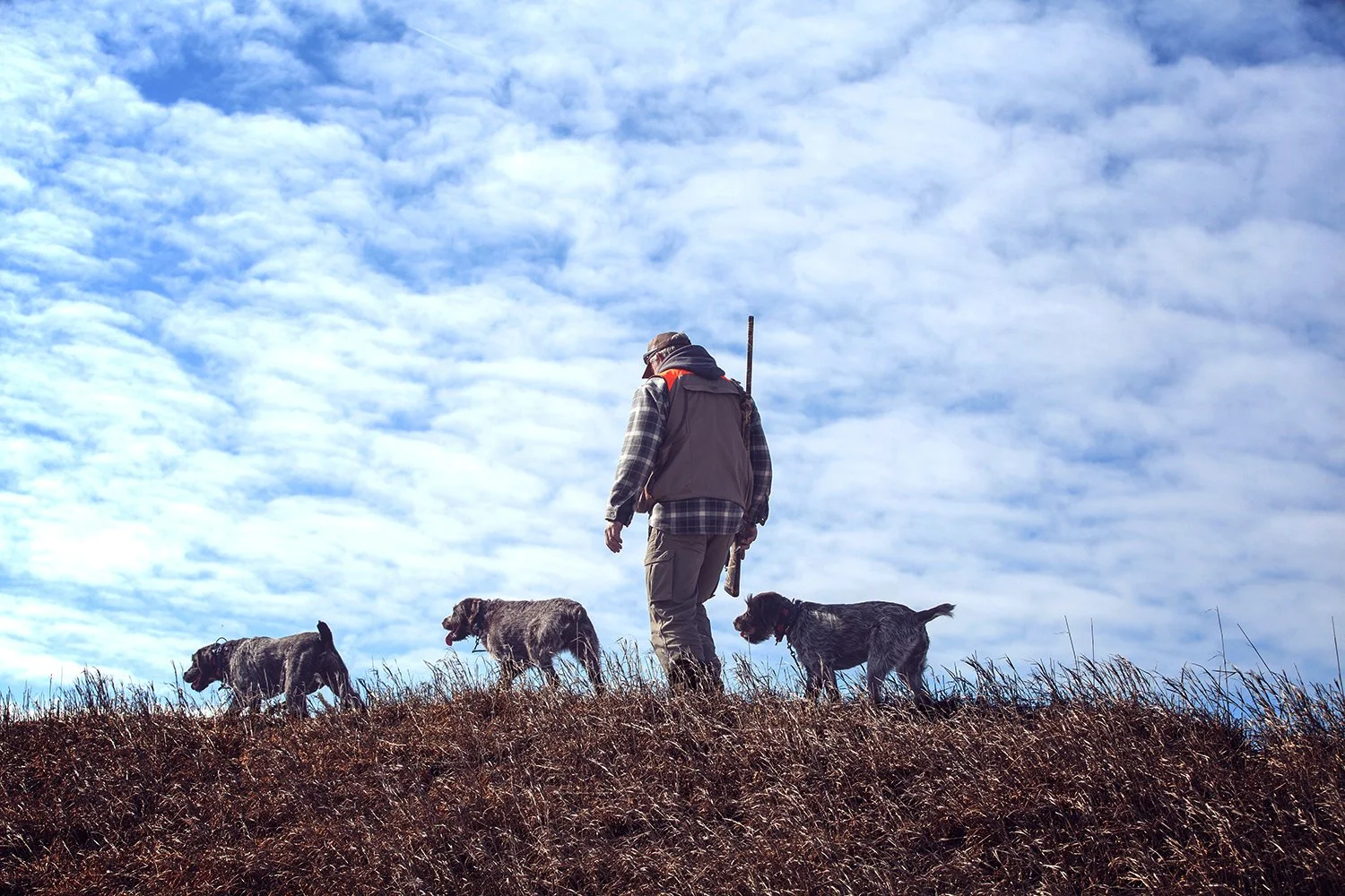 A person walking on a grassy hill with three dogs under a partly cloudy sky.