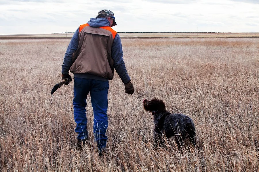 A person in outdoor clothing, holding a training tool, walking through a grassy field with a black dog.