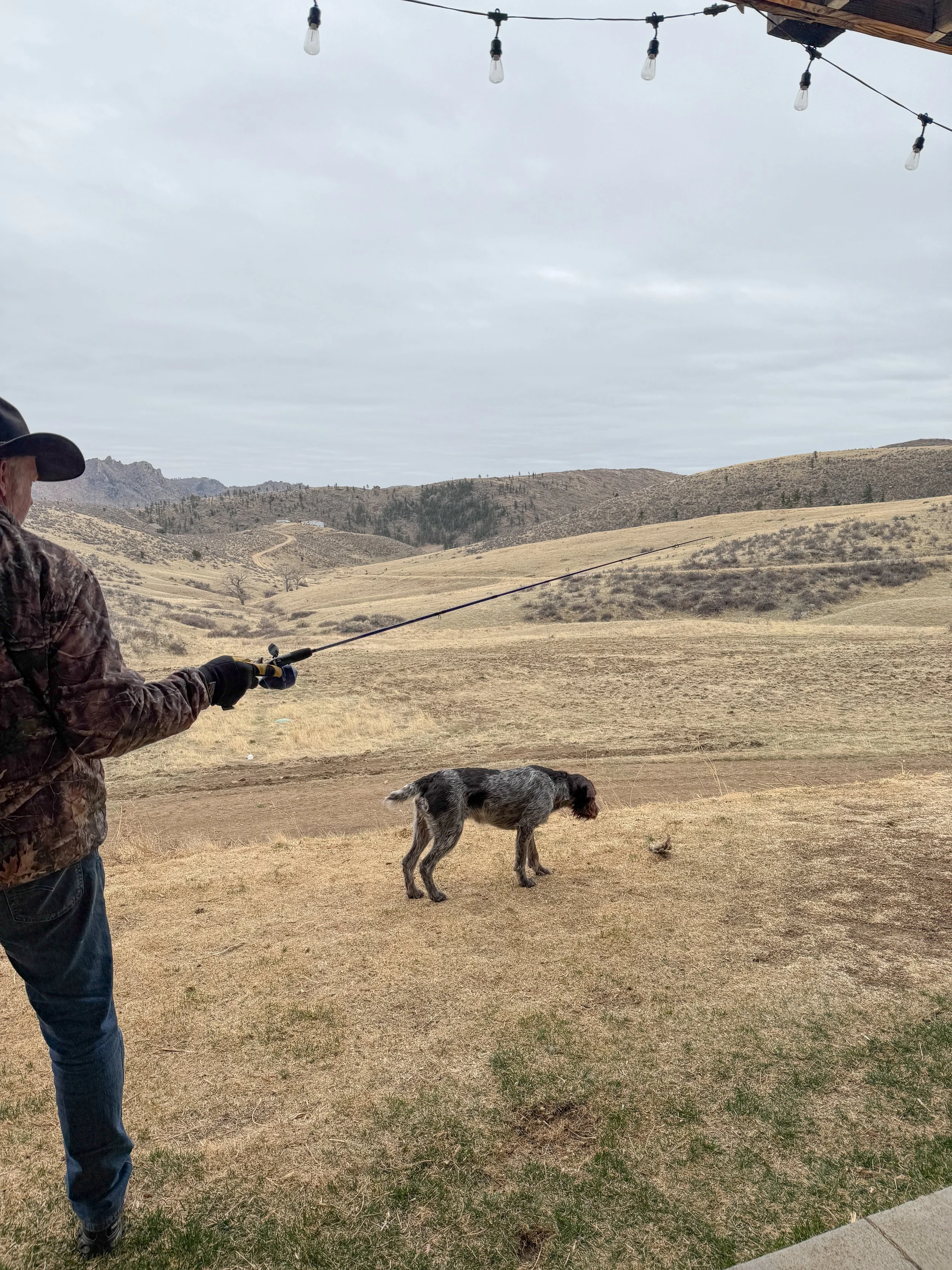 A man fishing with a dog nearby in a rural landscape under a cloudy sky, with hills in the background and string lights hanging overhead.