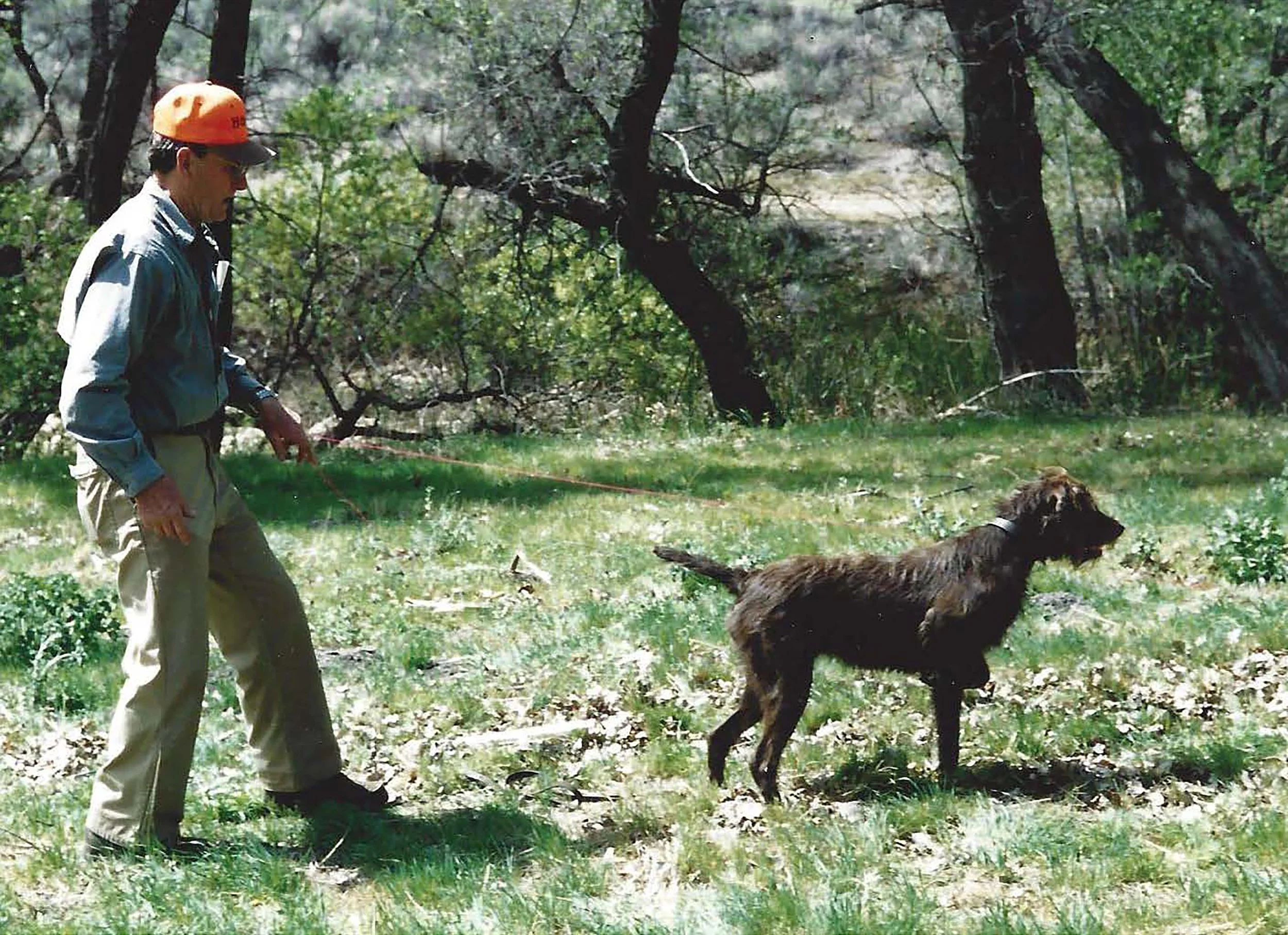 A man in khaki pants and a blue shirt is holding a leash attached to a brown dog in a forested area with trees and green foliage.