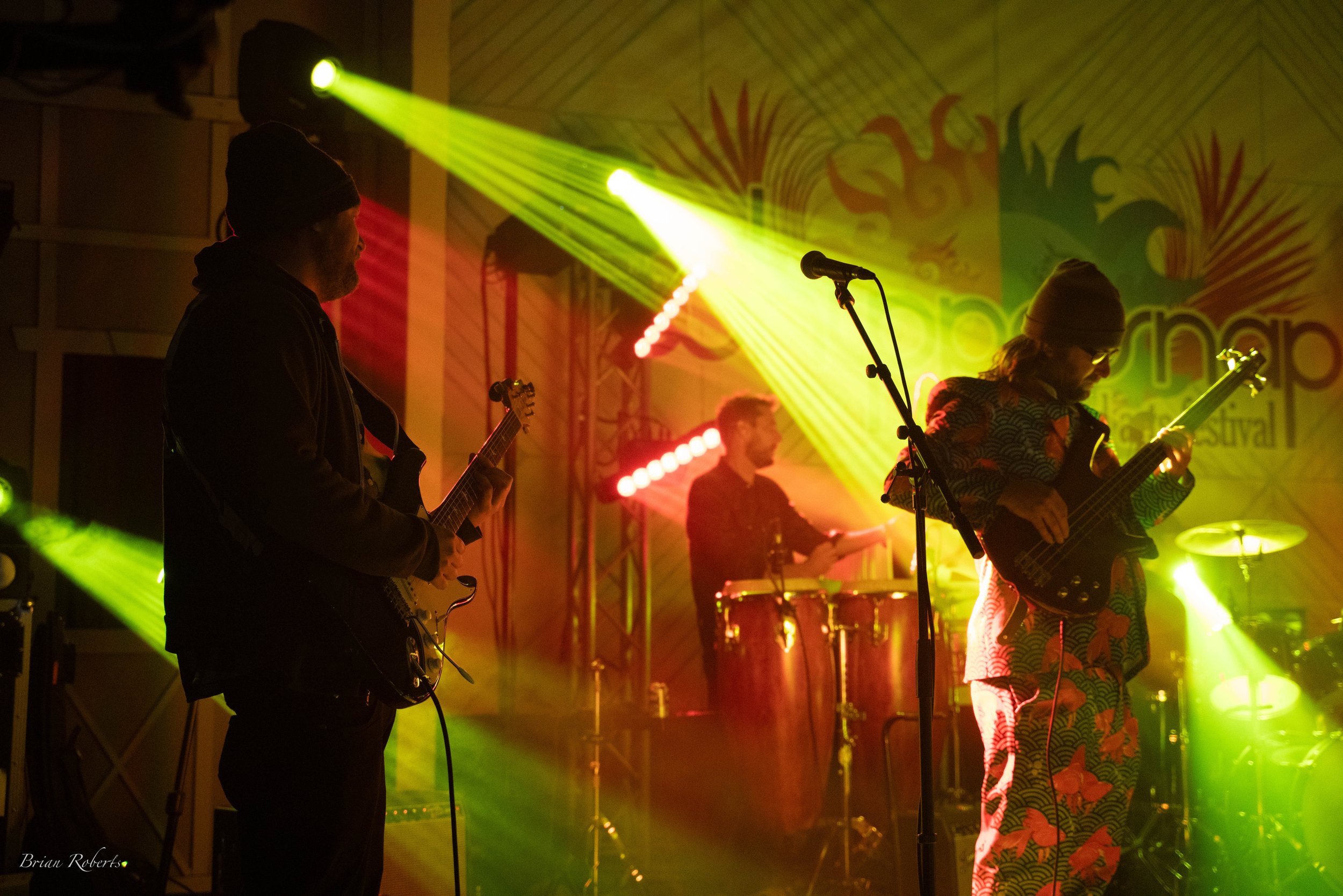 DSC08882.jpg