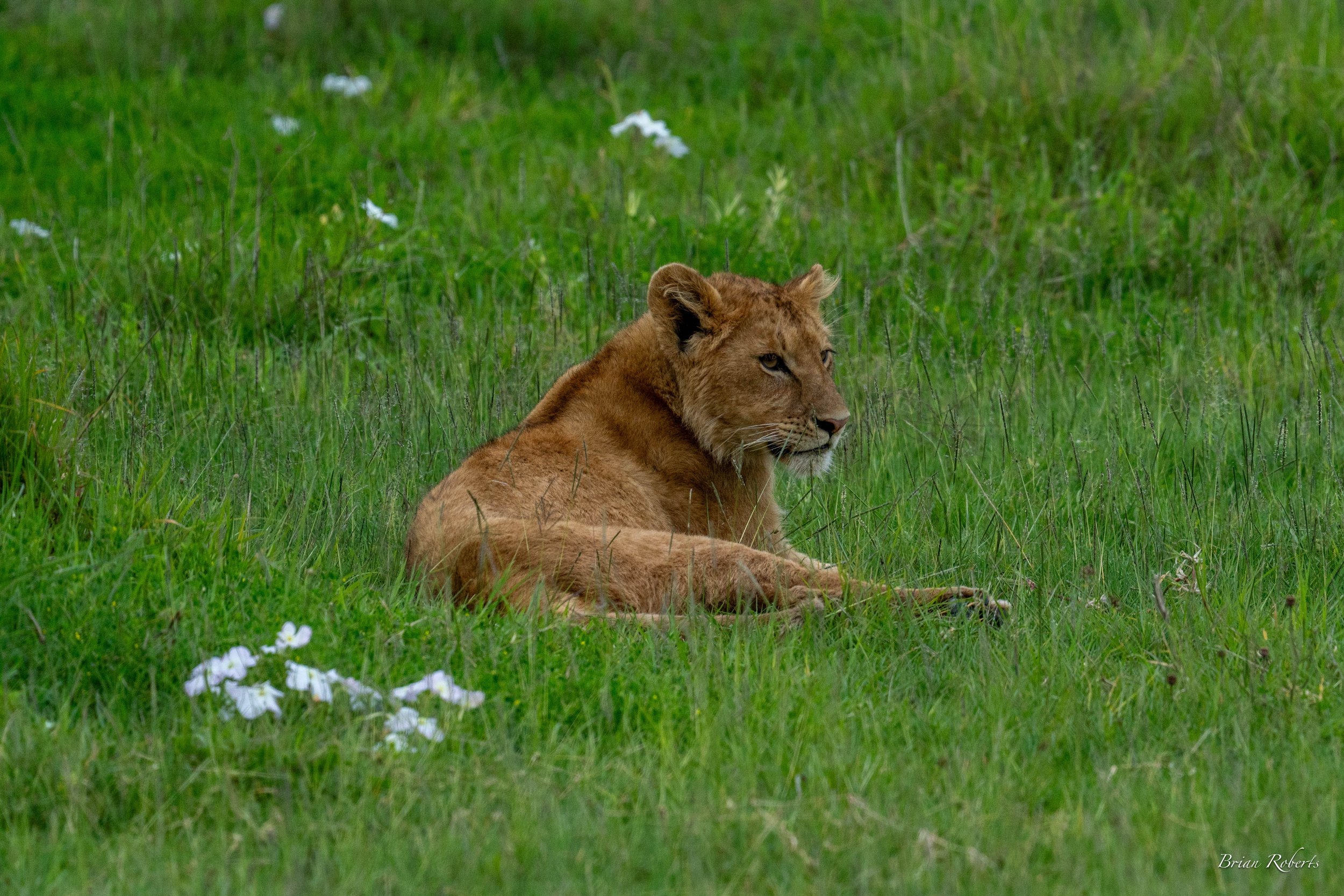 DSC00535.jpg