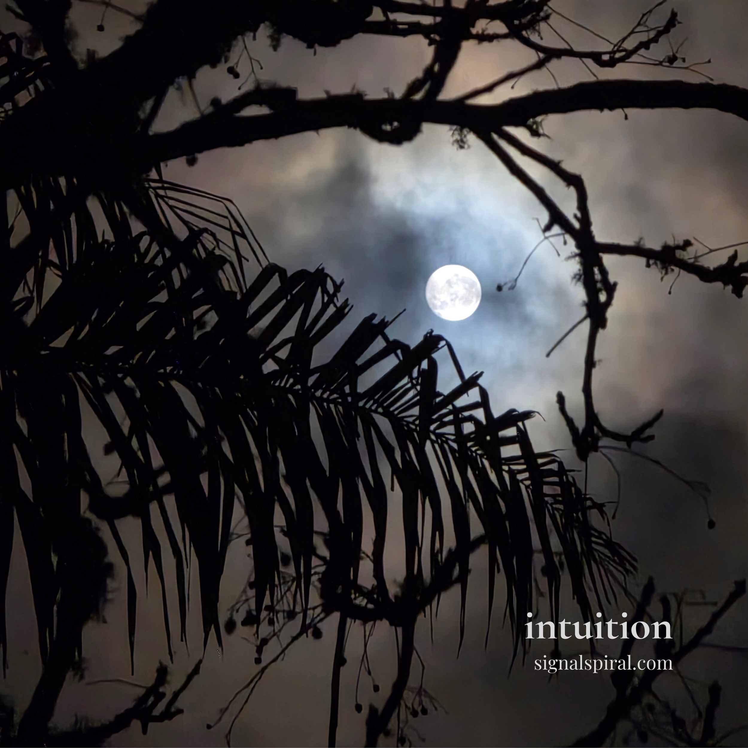 intuition 6x6.png