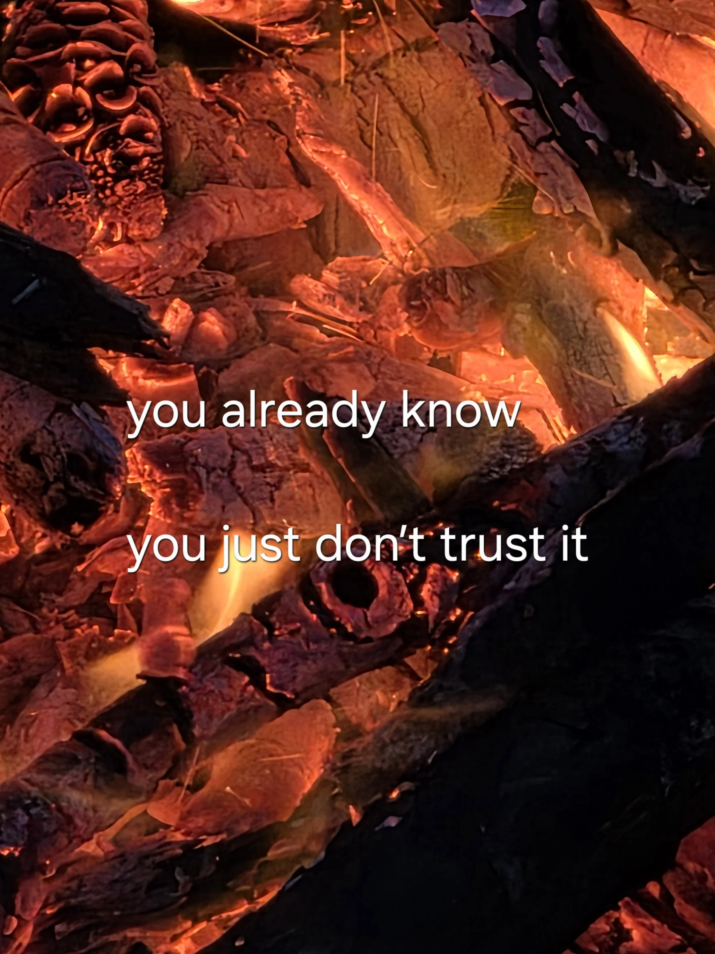 You already know, you just don't trust it
