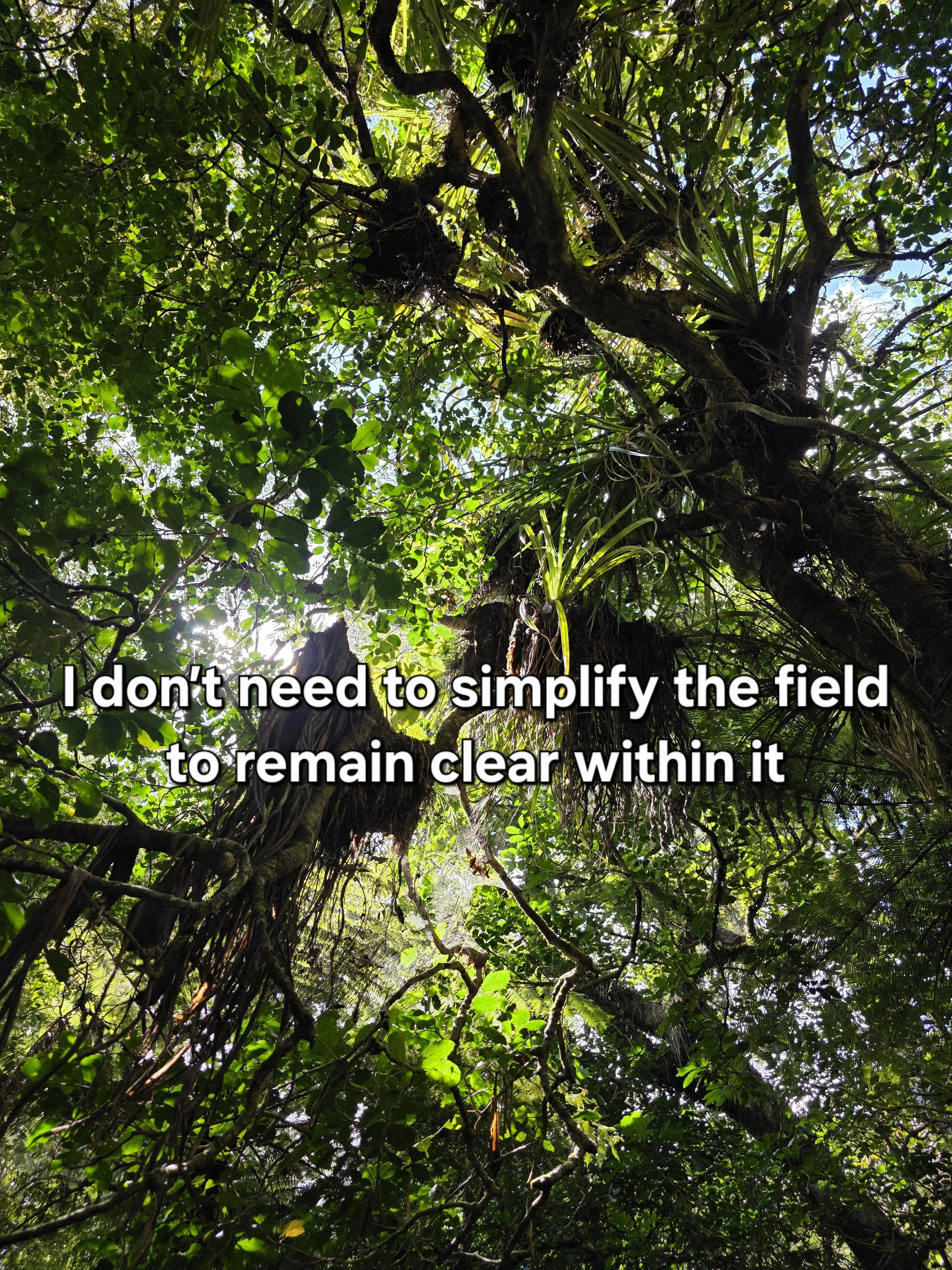 I don't need to simplify the field to remain clear within it