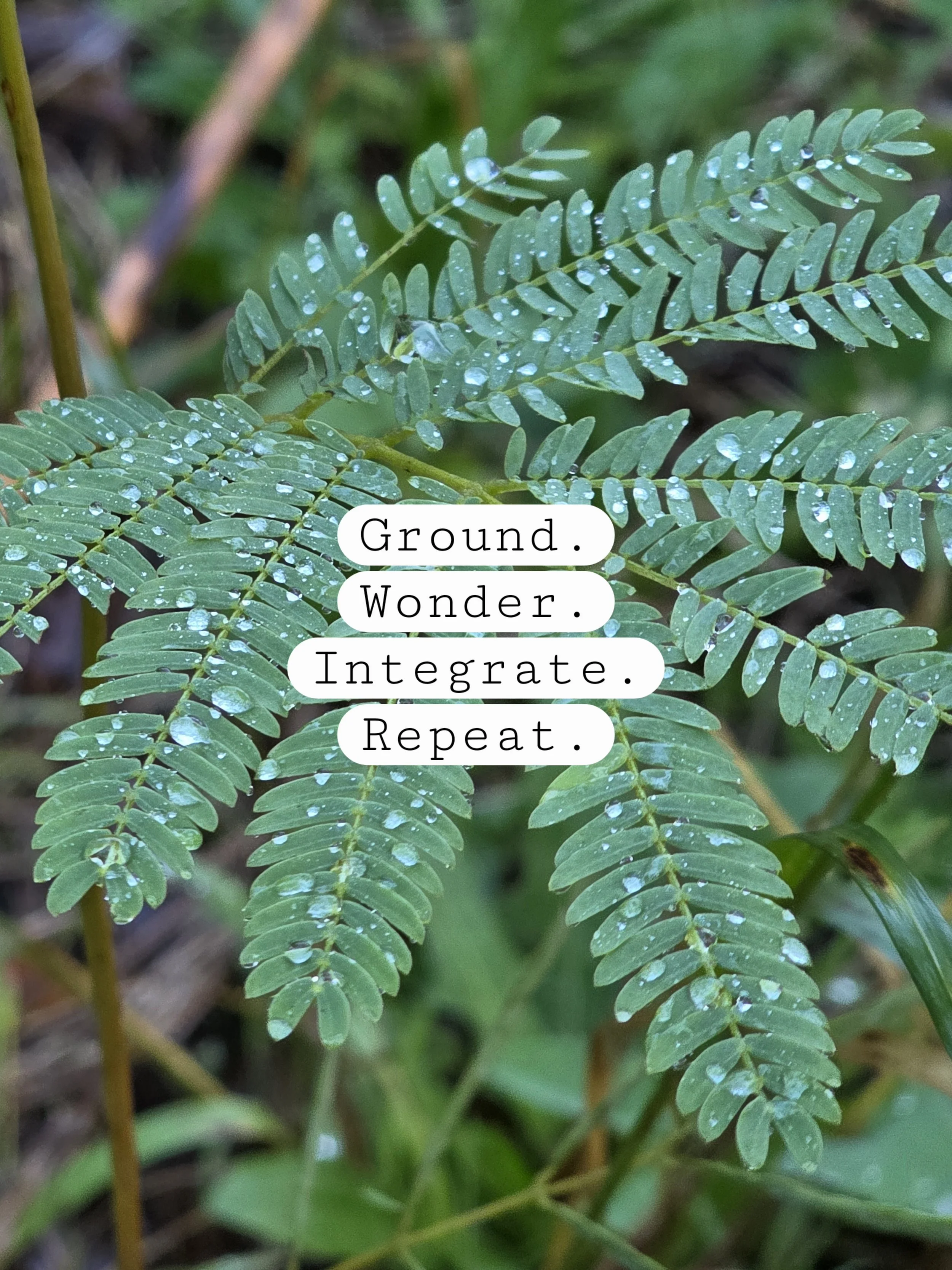 Ground. Wonder. Integrate. Repeat.
