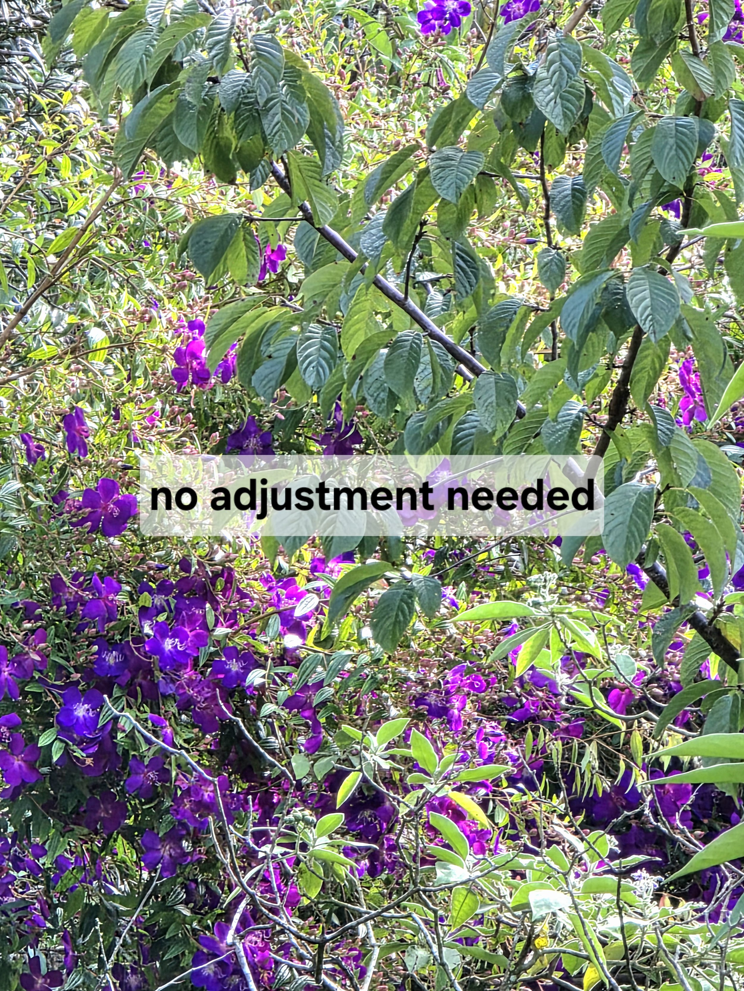 no adjustment needed