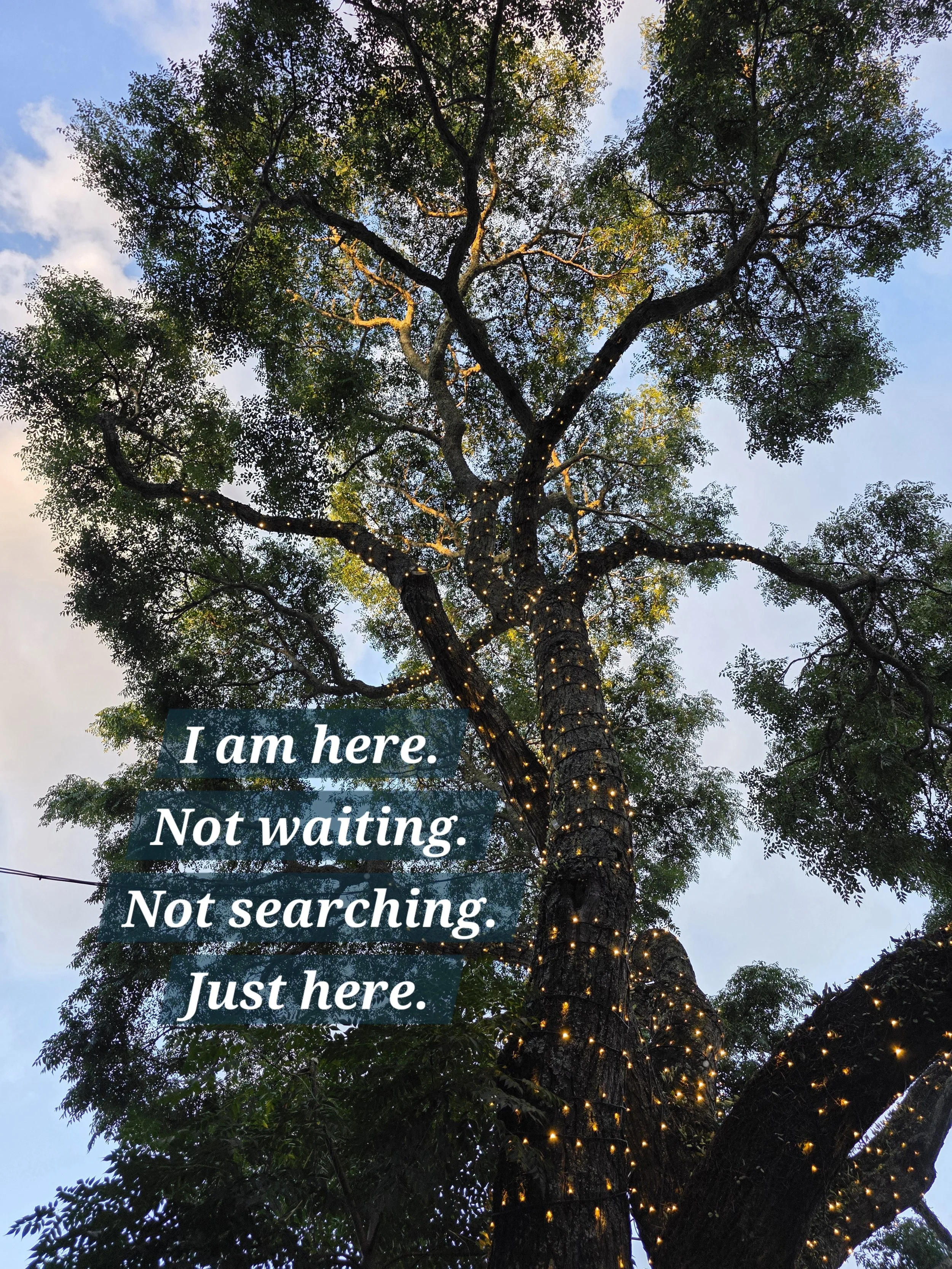I am here. Not waiting. Not searching. Just here.