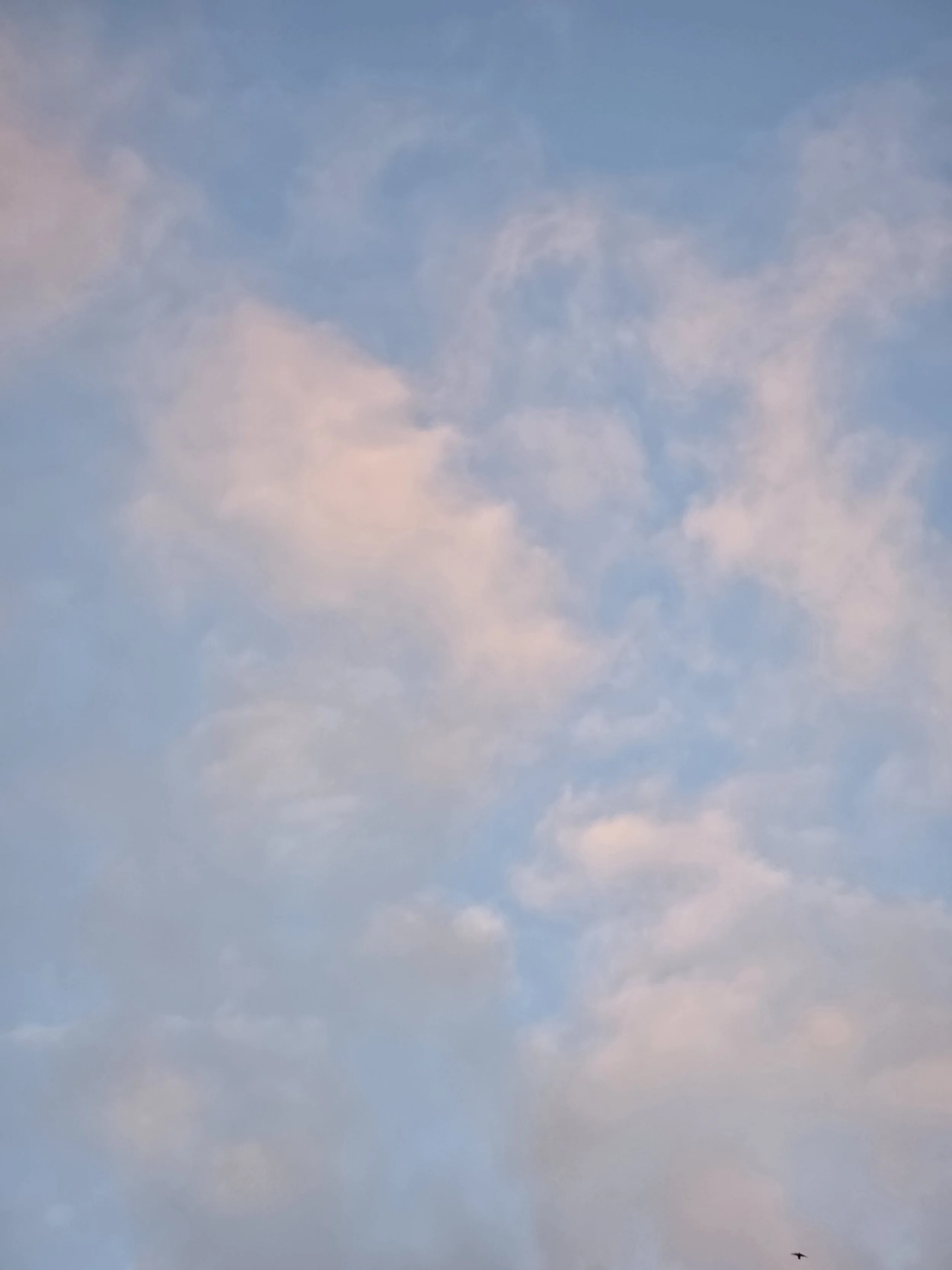 20260607_073623.jpg
