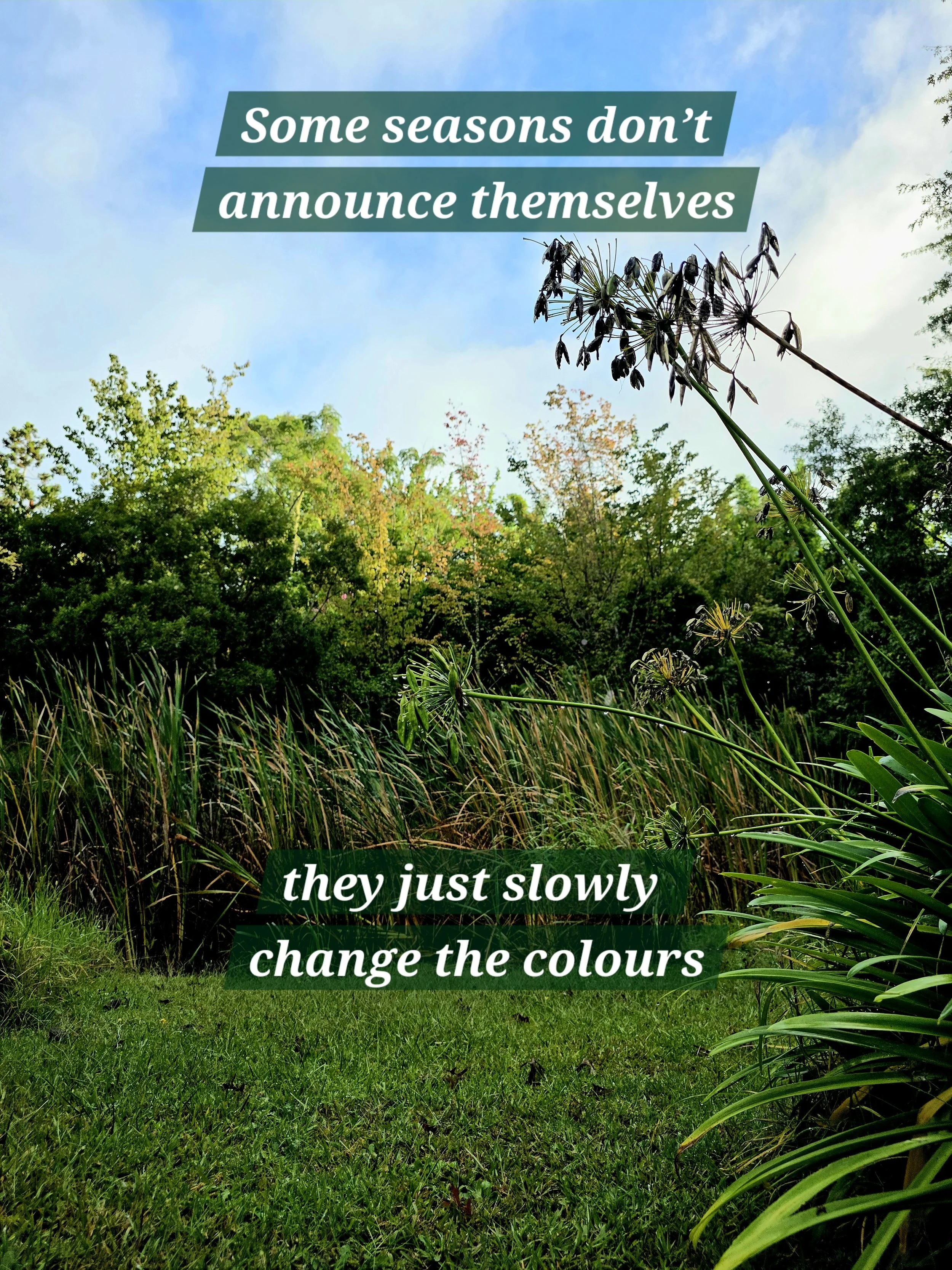 Some seasons don't announce themselves