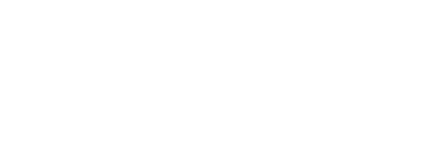 Little Dragon Interactive