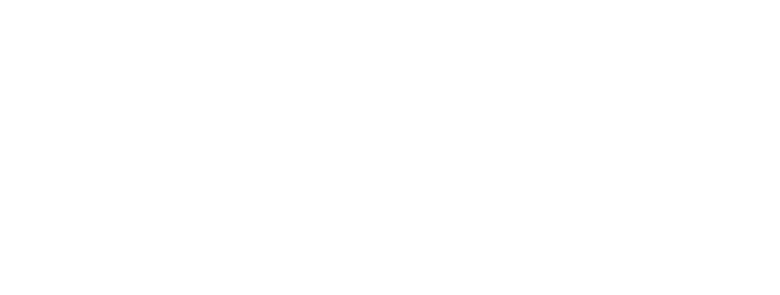 Black and white logo with a silhouette of a lizard on the left and the words "LITTLE DRAGON INTERACTIVE" on the right.