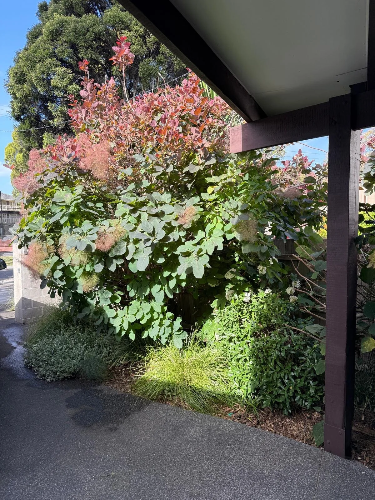 12 lloyd st balwyn north 4.jpeg