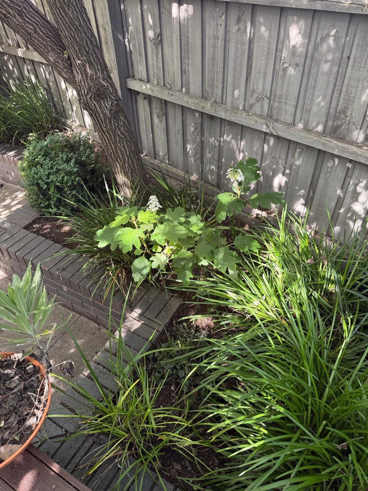 12 lloyd st balwyn north 2.jpeg