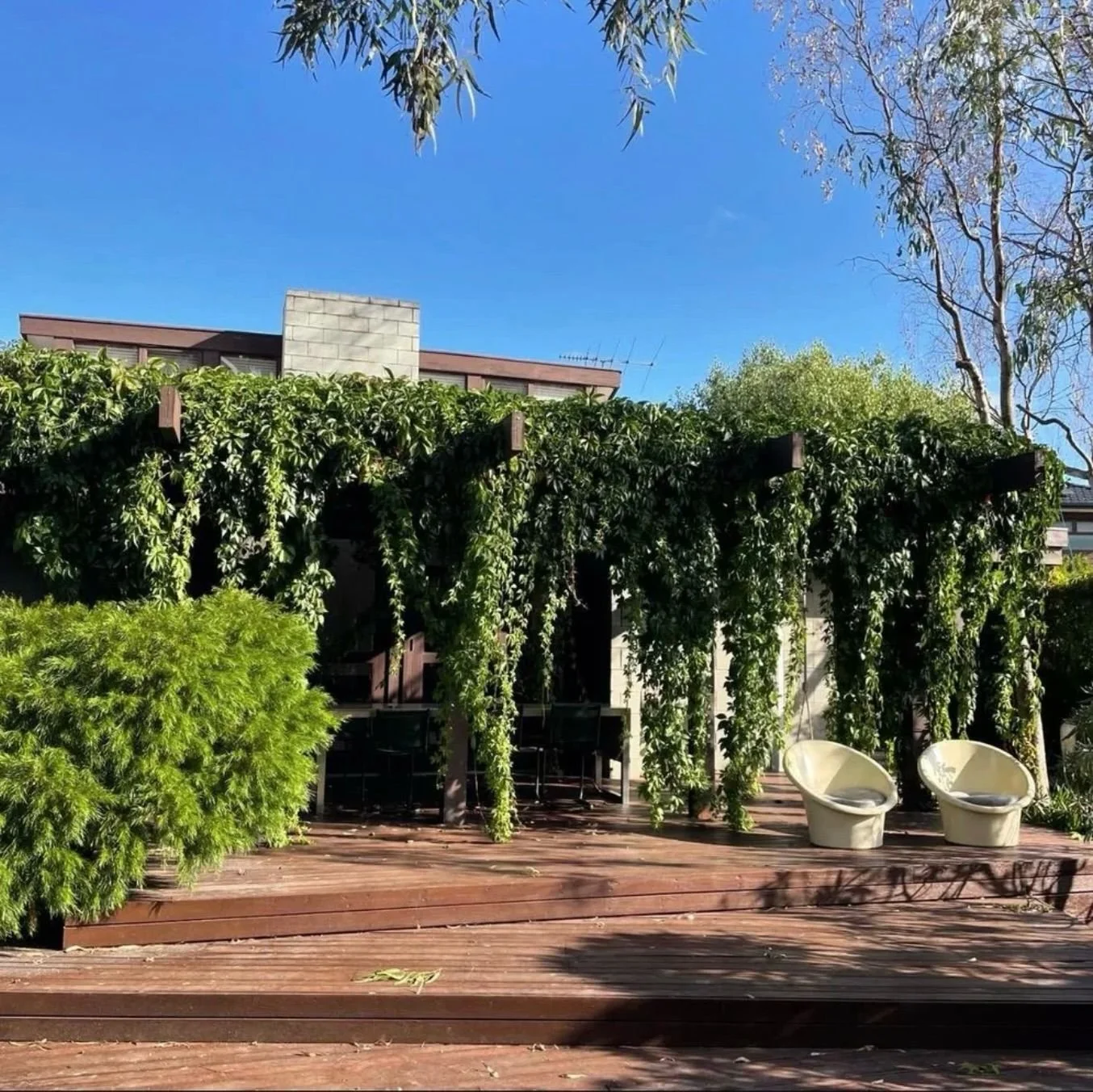 12 lloyd st balwyn.jpeg