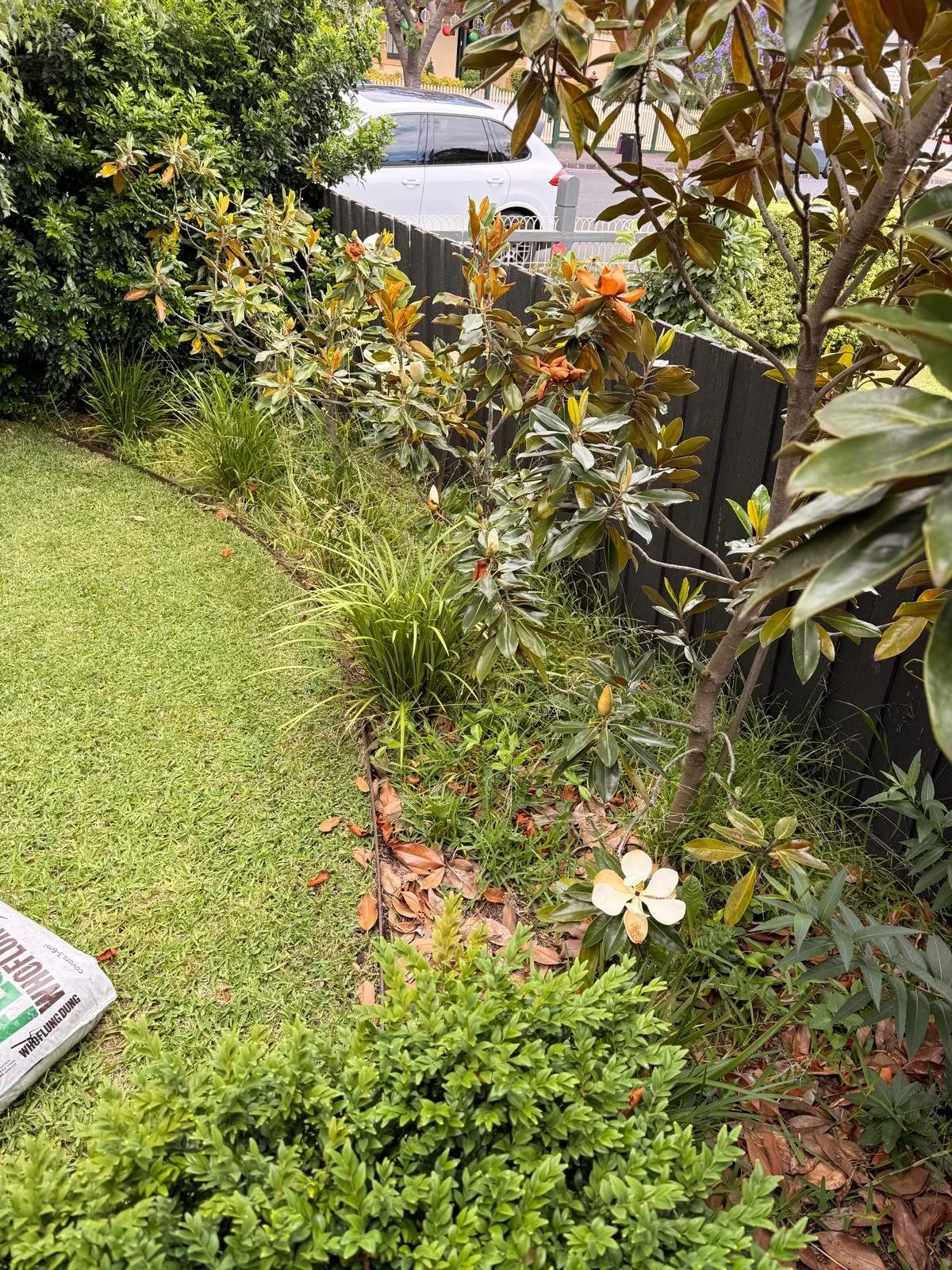 WhatsApp Image 2026-04-09 at 17.56.00.jpeg