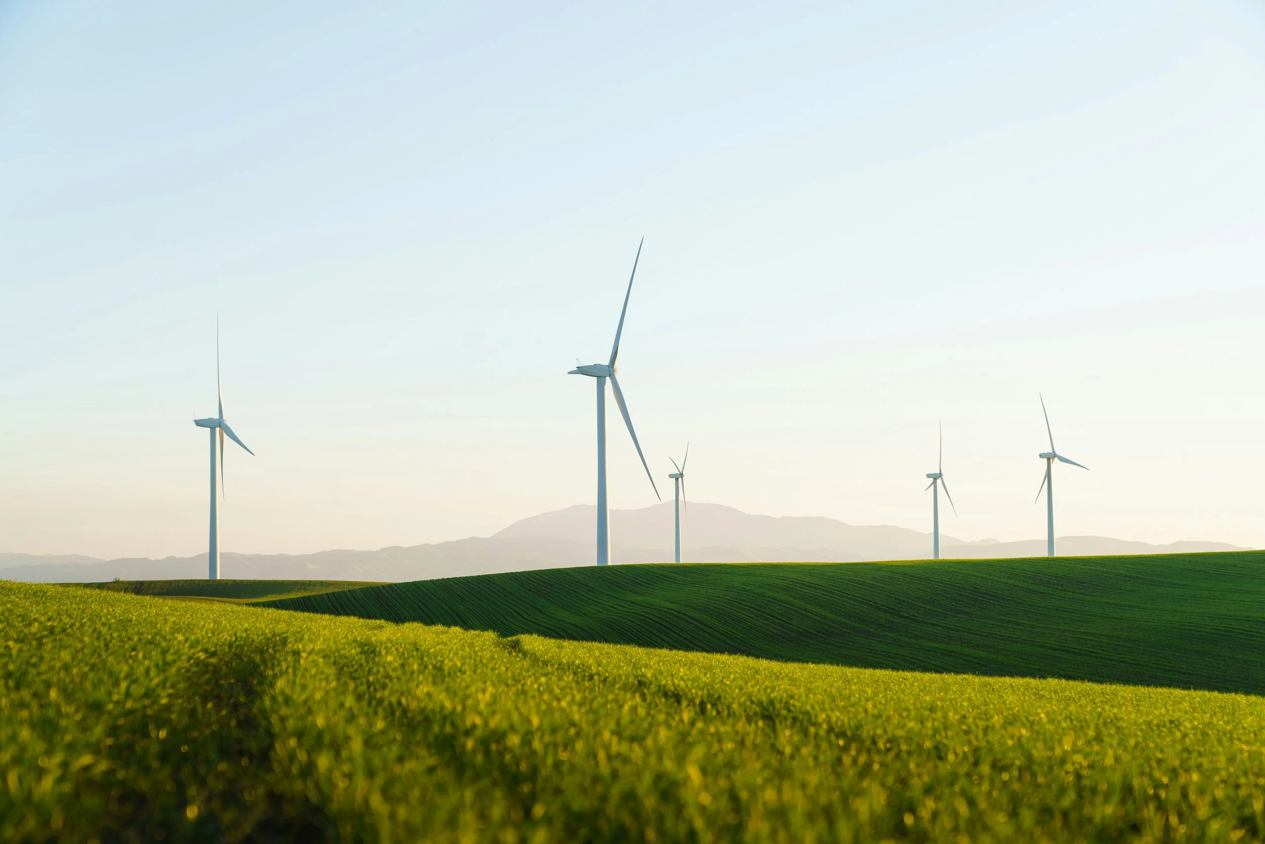 De Negri Advisory Sustainability Advisory Services