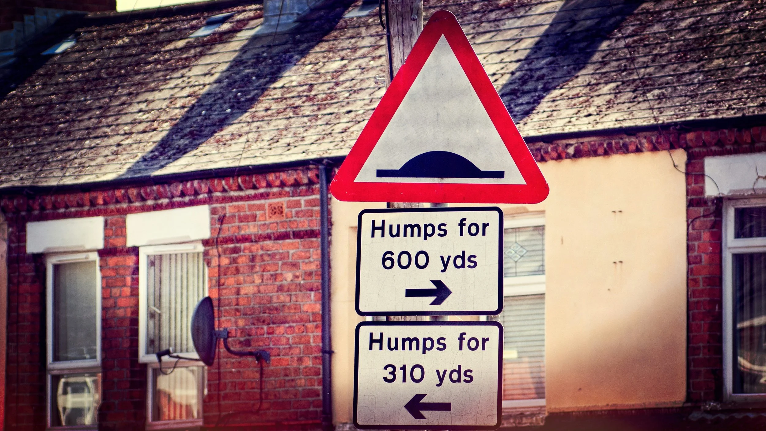 The Speed Bump Dilemma: Rethinking Controls