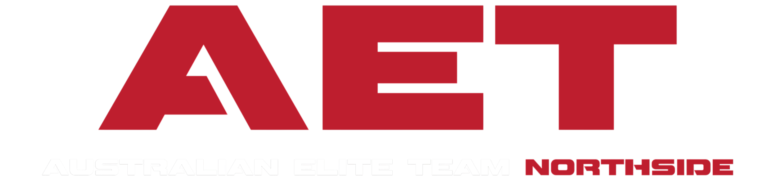 Australian Elite Team Northside MMA and Brazilian Jiu Jitsu gym logo