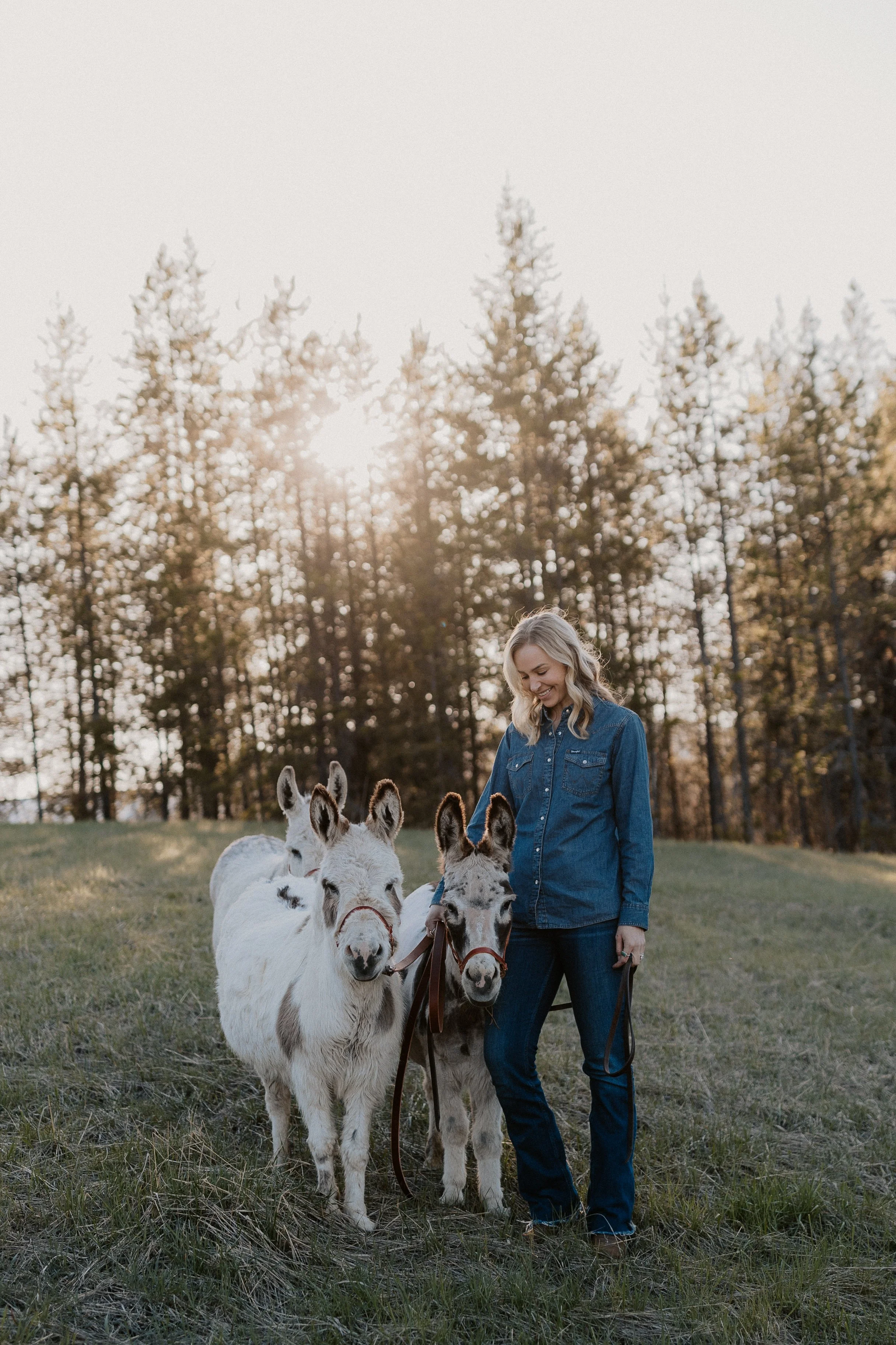Montana Beer Burros founder and lead wrangler standing with a team of miniature donkeys in a pristine mountain setting.