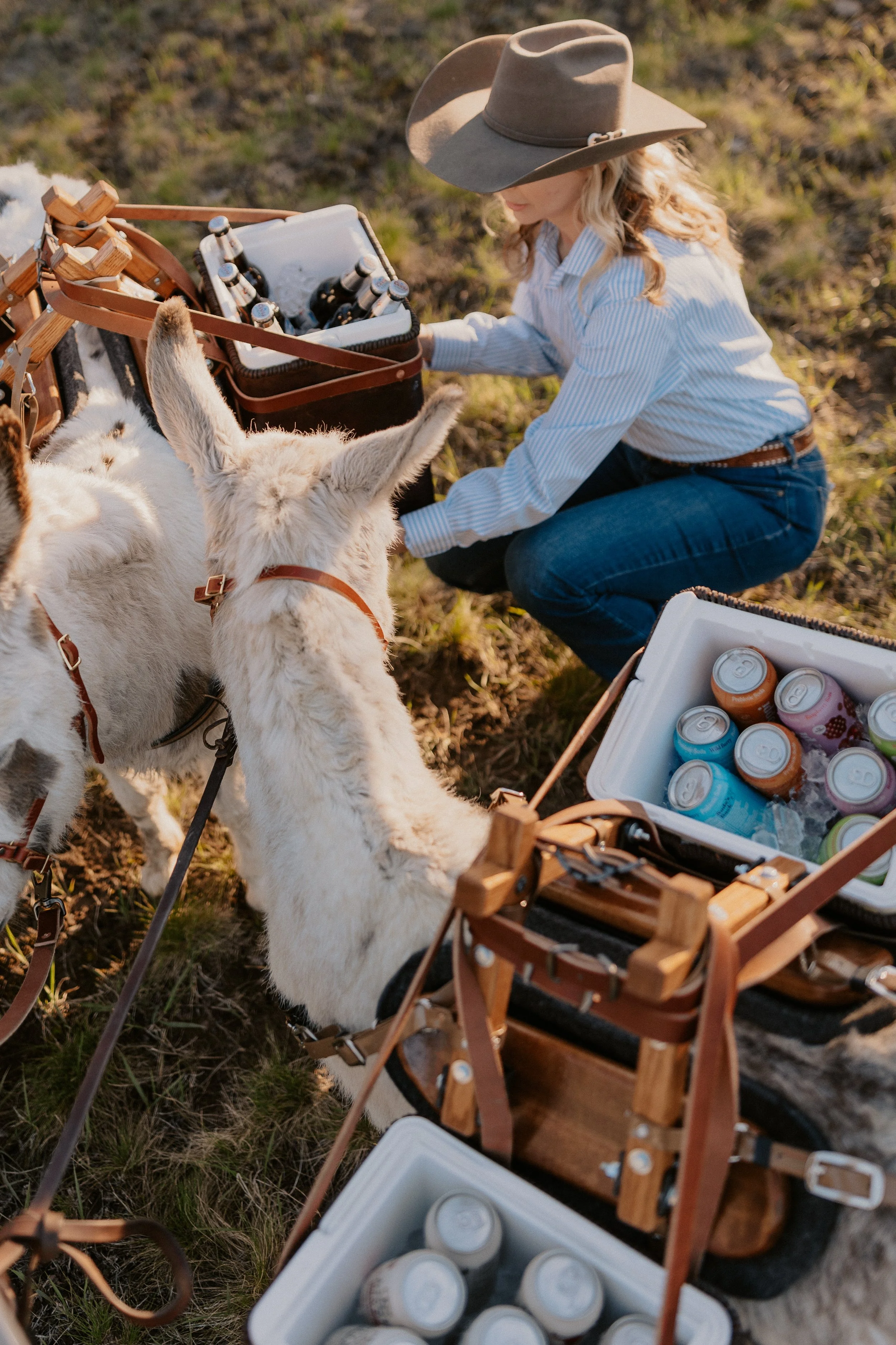 montana beer burro whitefish montana wedding event dinner party