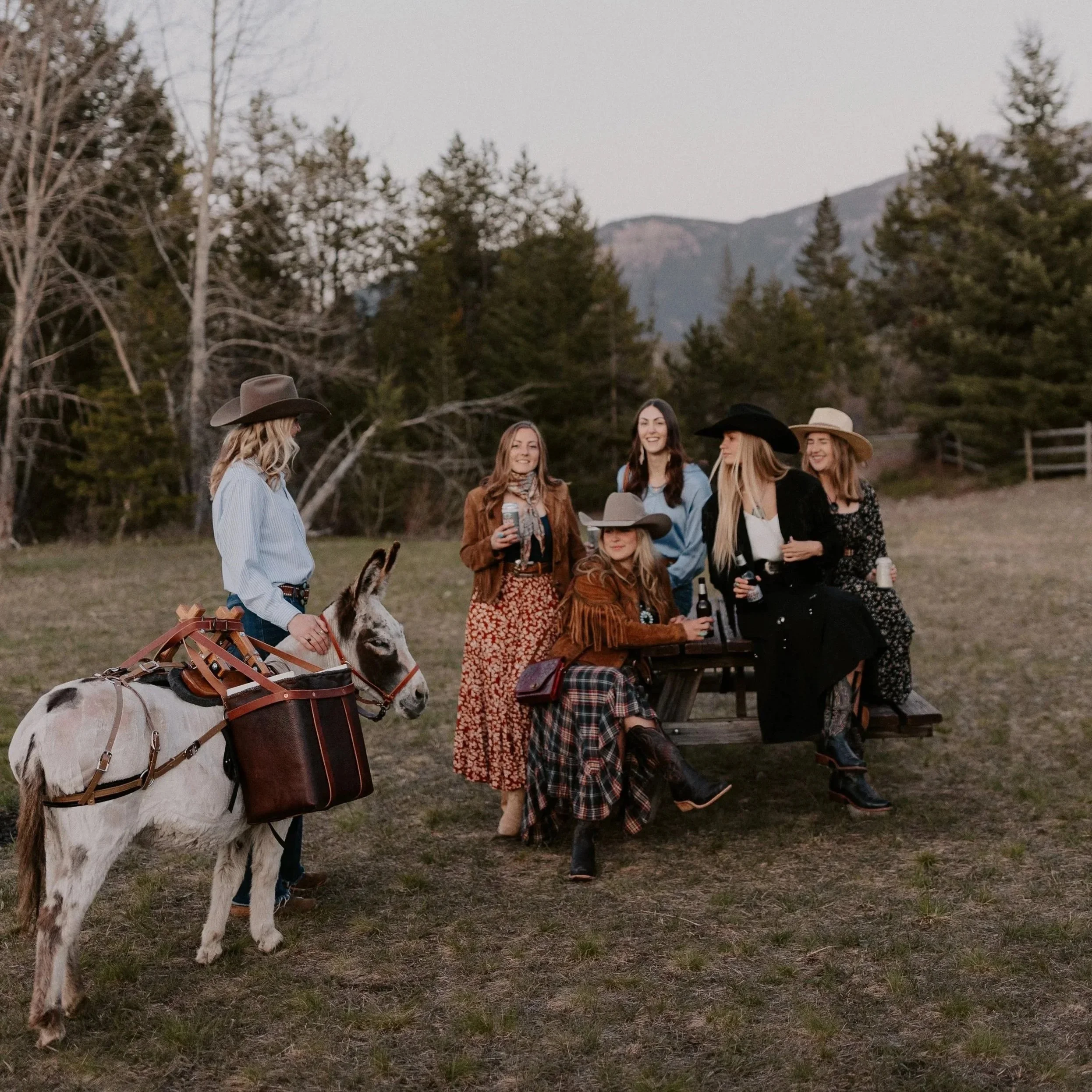 Guests sharing an intimate moment with a miniature donkey at a luxury Montana wedding, highlighting the refined and gentle nature of our animals.