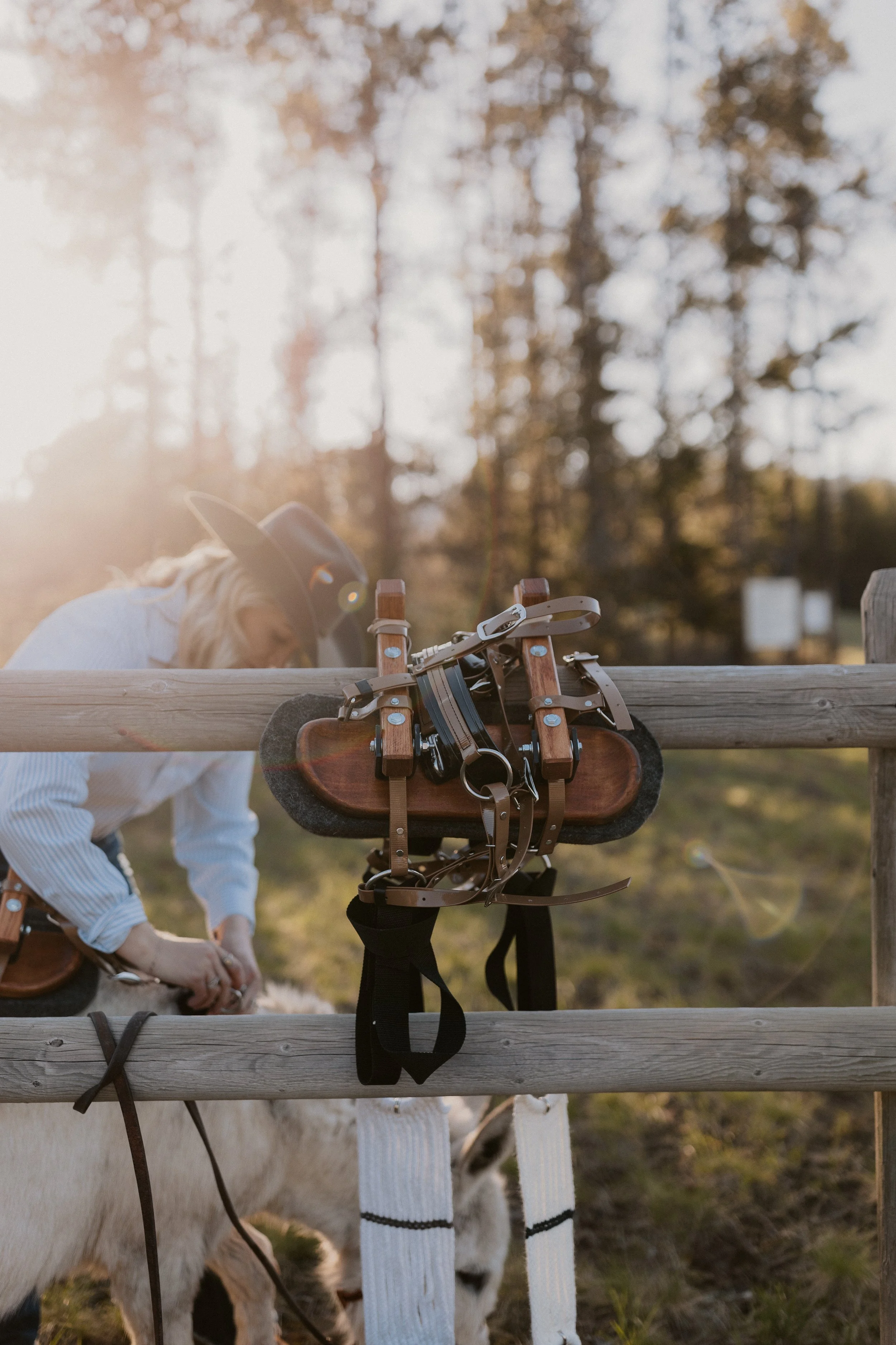 Expertly crafted leather pack equipment for miniature donkeys, emphasizing the timeless and refined ranch style of Montana Beer Burros.