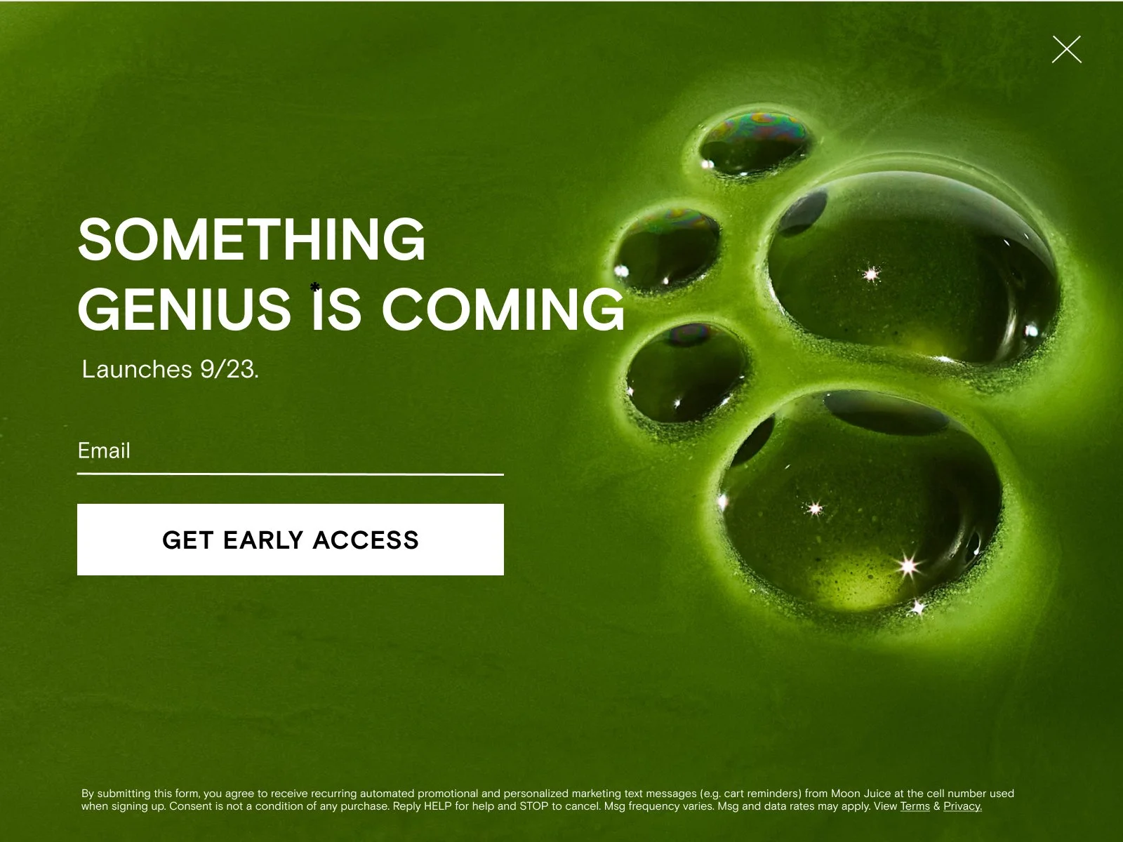 Desktop - Email 2.jpg