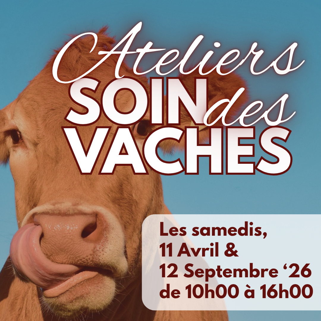 AtelierVaches.png