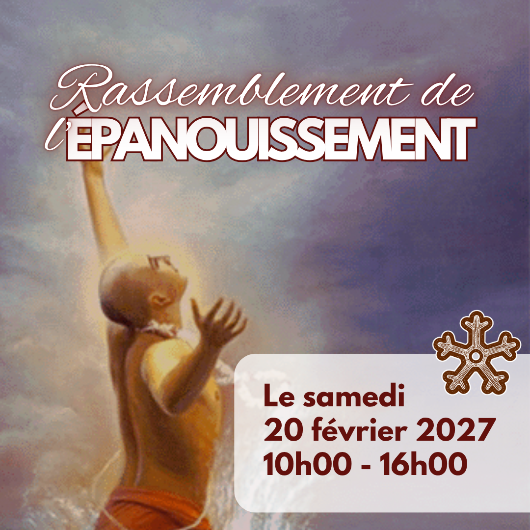 FestivalElan (2).png