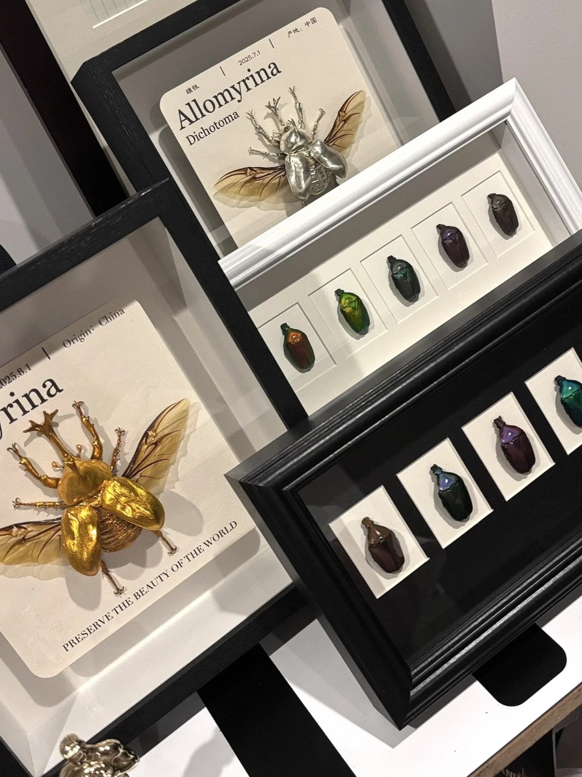 Display of colorful insect replicas, including a large metallic gold bee with wings and a silver insect with wings, along with framed labels describing their species and origins.