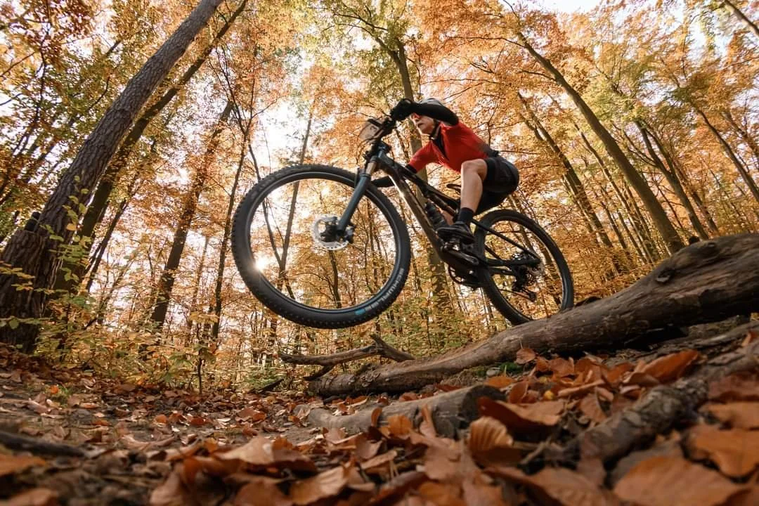 A mountain biker jumping off a log trail in a forest during autumn, with orange and yellow leaves on the trees and ground.