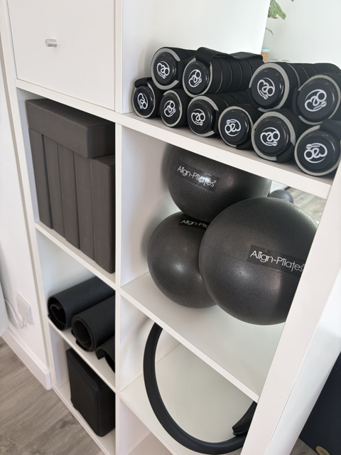 White shelving unit in Grayshott holding black exercise equipment: stacks of dumbbells, exercise balls, resistance bands, and foam rollers in a fitness or therapy room.