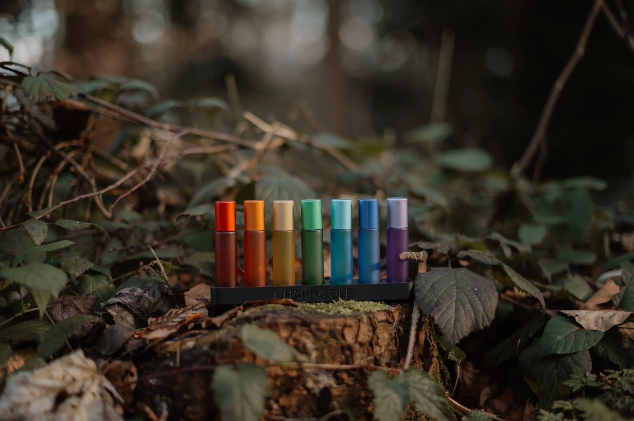 Zurück in deine Balance