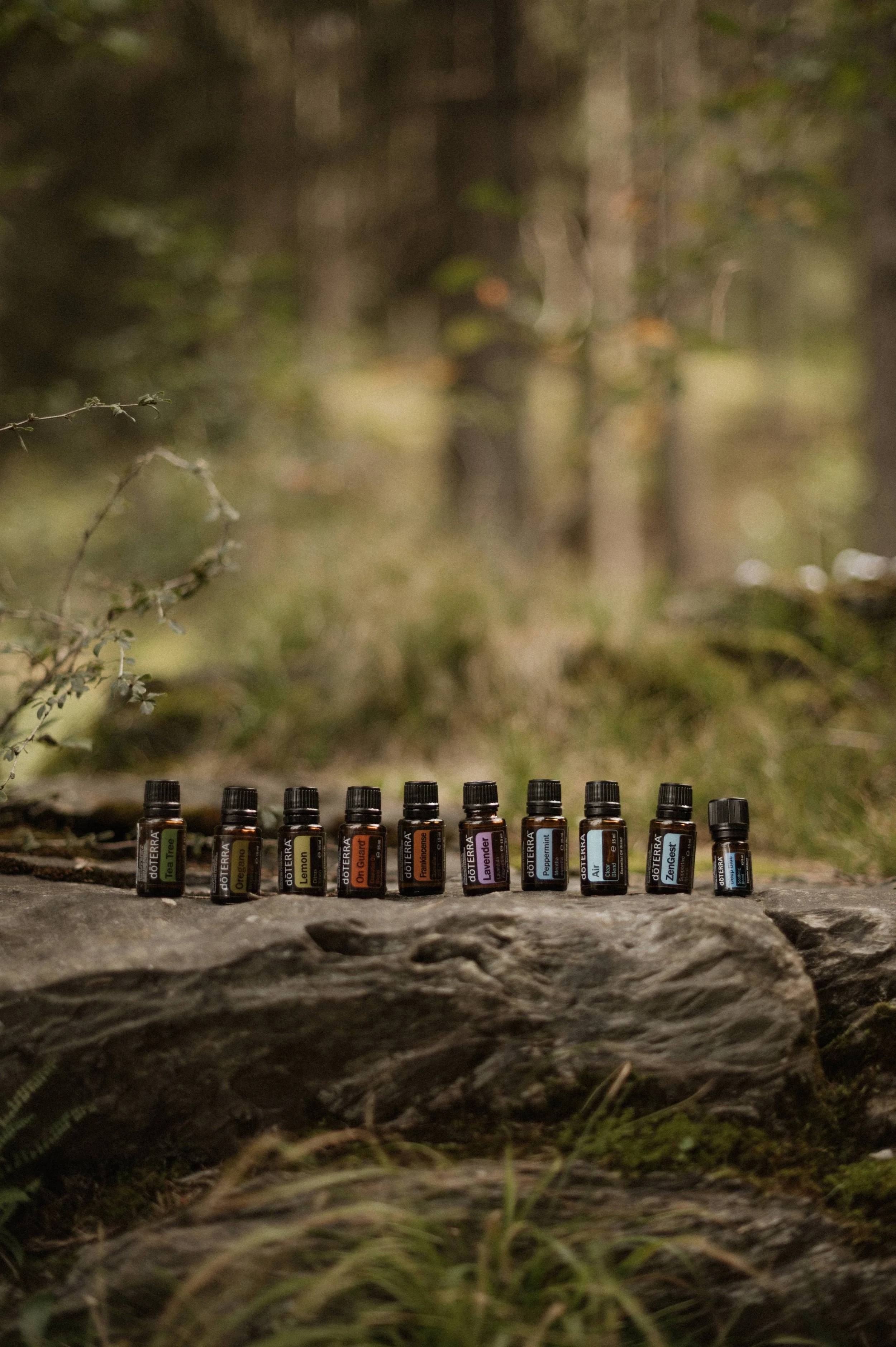 Mehrere ätherische Öle auf einem Baumstamm in einem Wald.