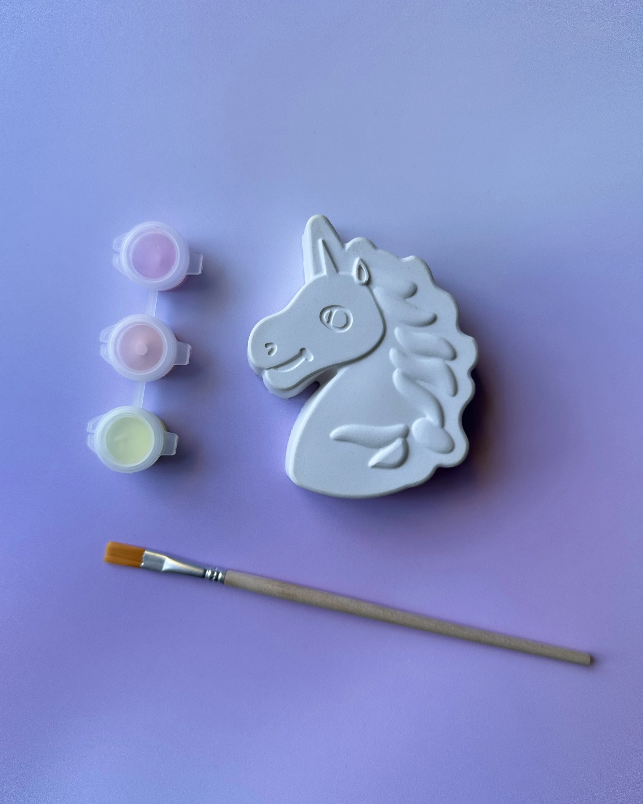 Paint Your Own Unicorn