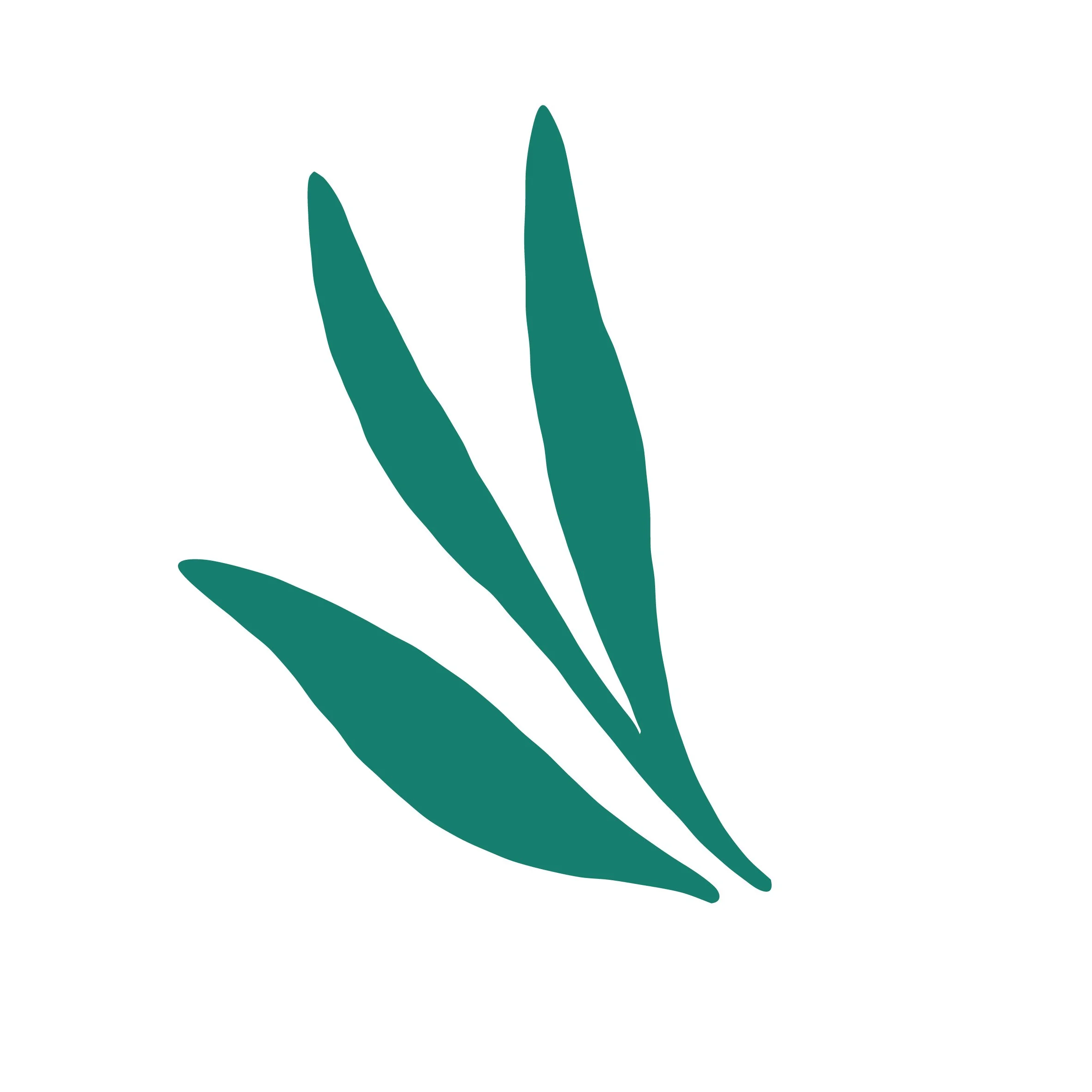 Simple illustration of a green plant with three elongated leaves on a white background.